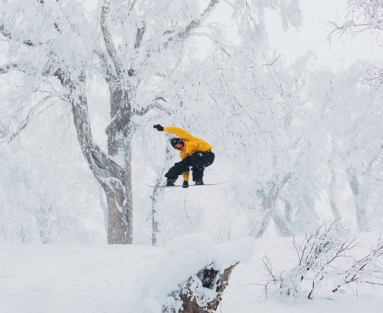GORE-TEXの2レイヤーや3レイヤーって何？ | Burton Snowboards
