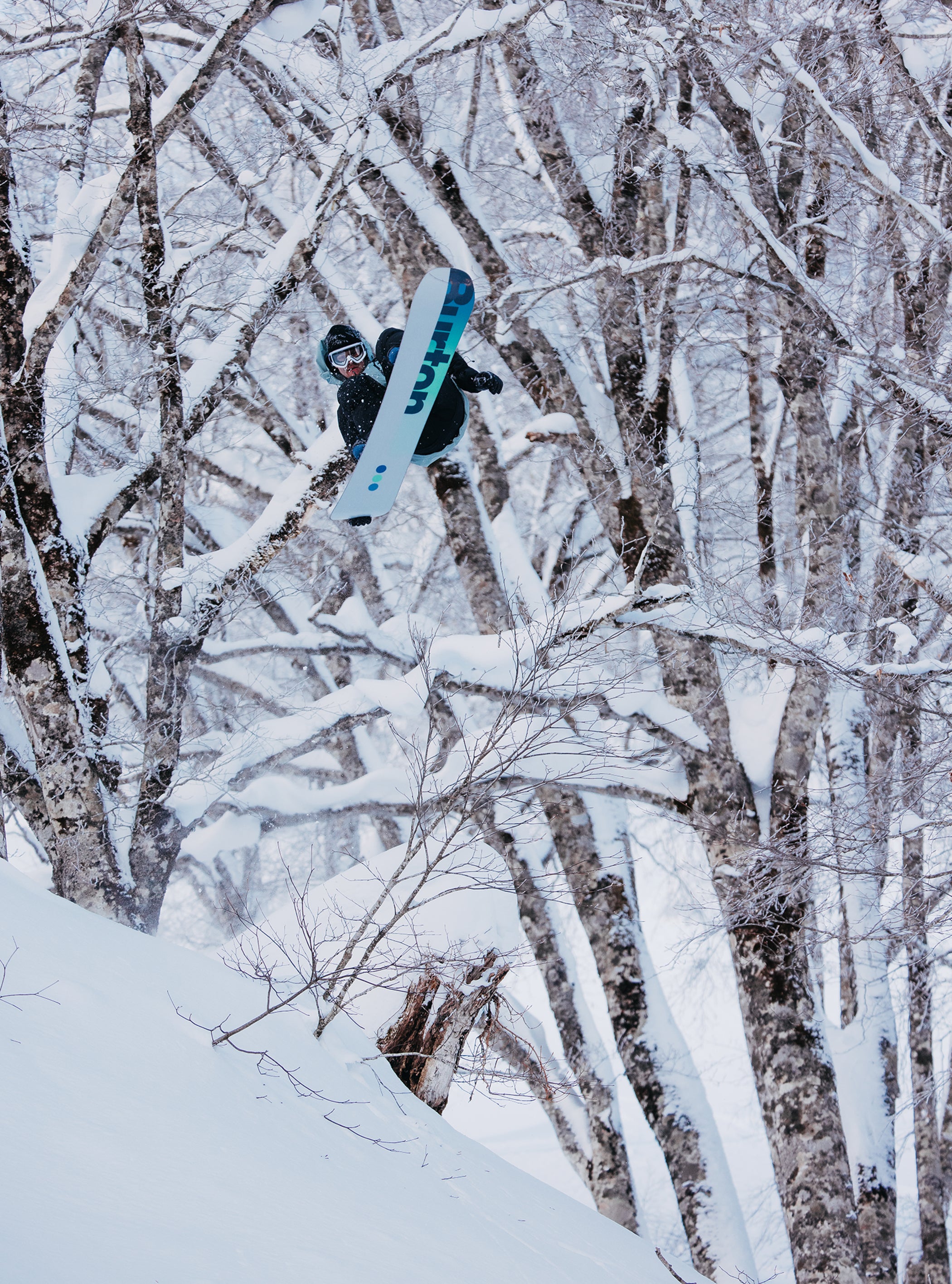 Product image of Men's Burton Custom Camber Snowboard[Variant:Graphic (2025)]