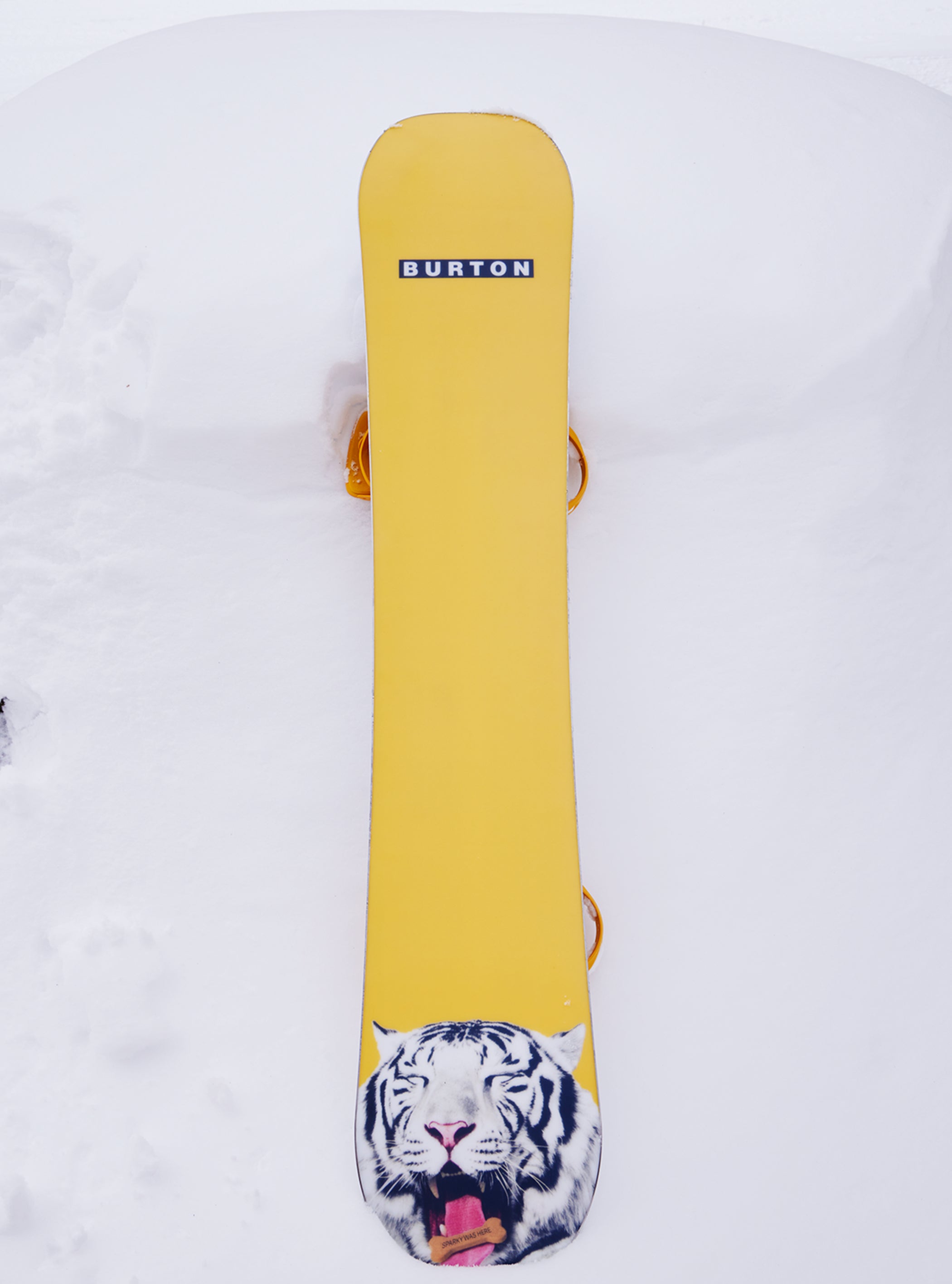 メンズ Burton プロセス キャンバー スノーボード