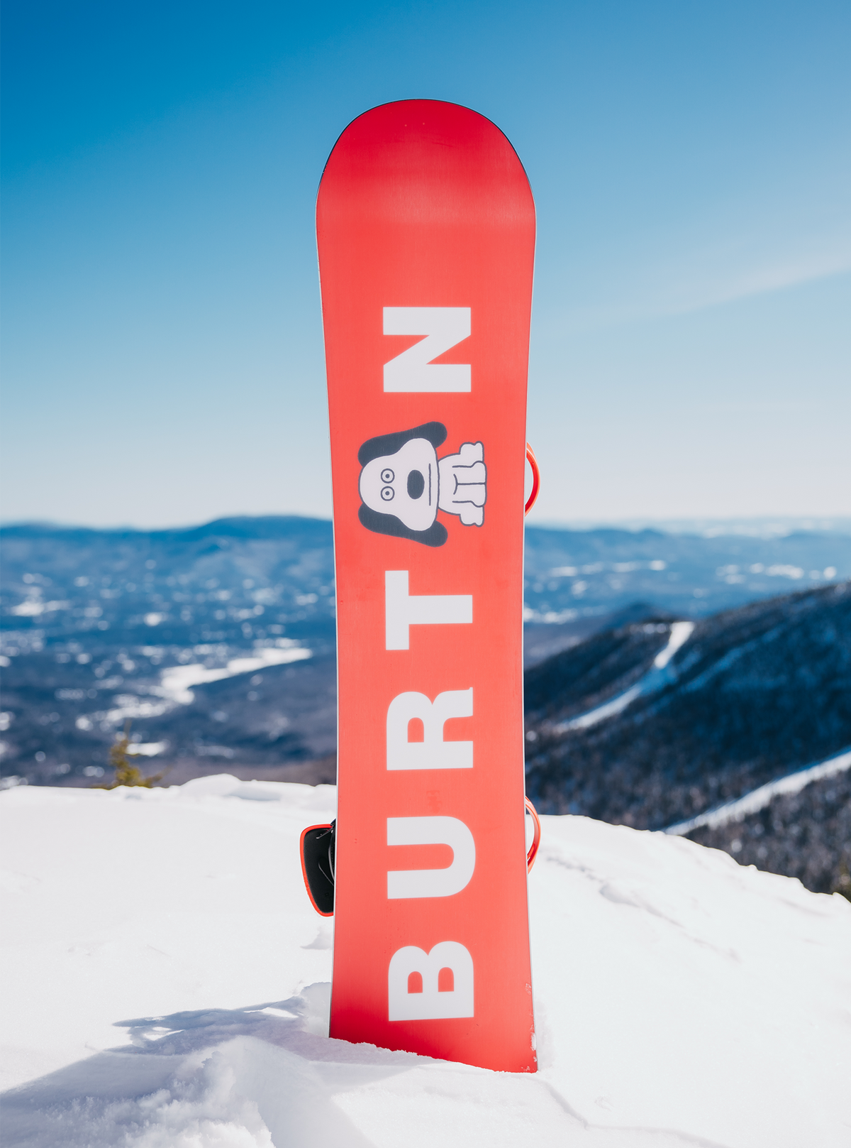 メンズ Burton プロセス キャンバー スノーボード