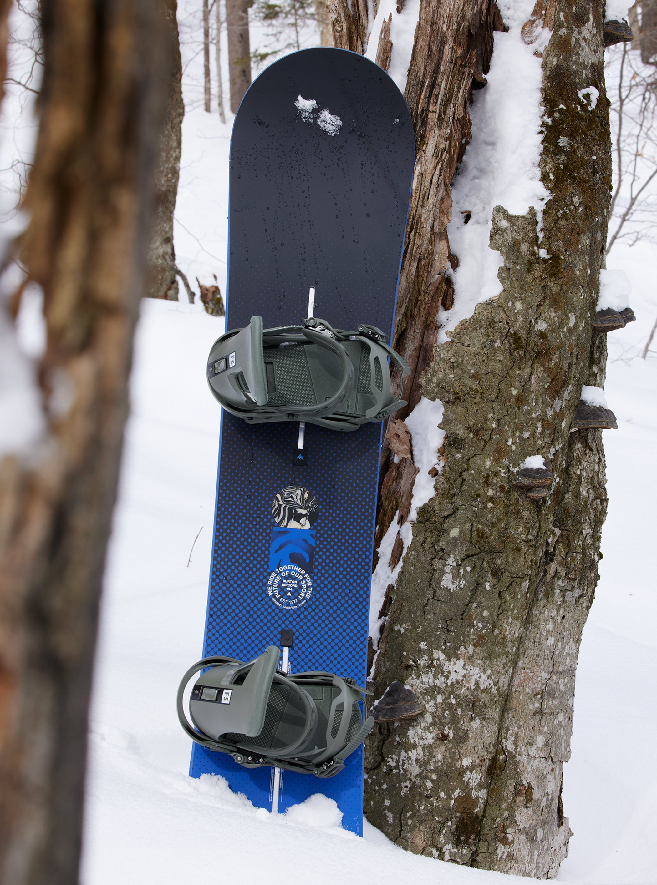 メンズ Burton リップコード Flat Top スノーボード