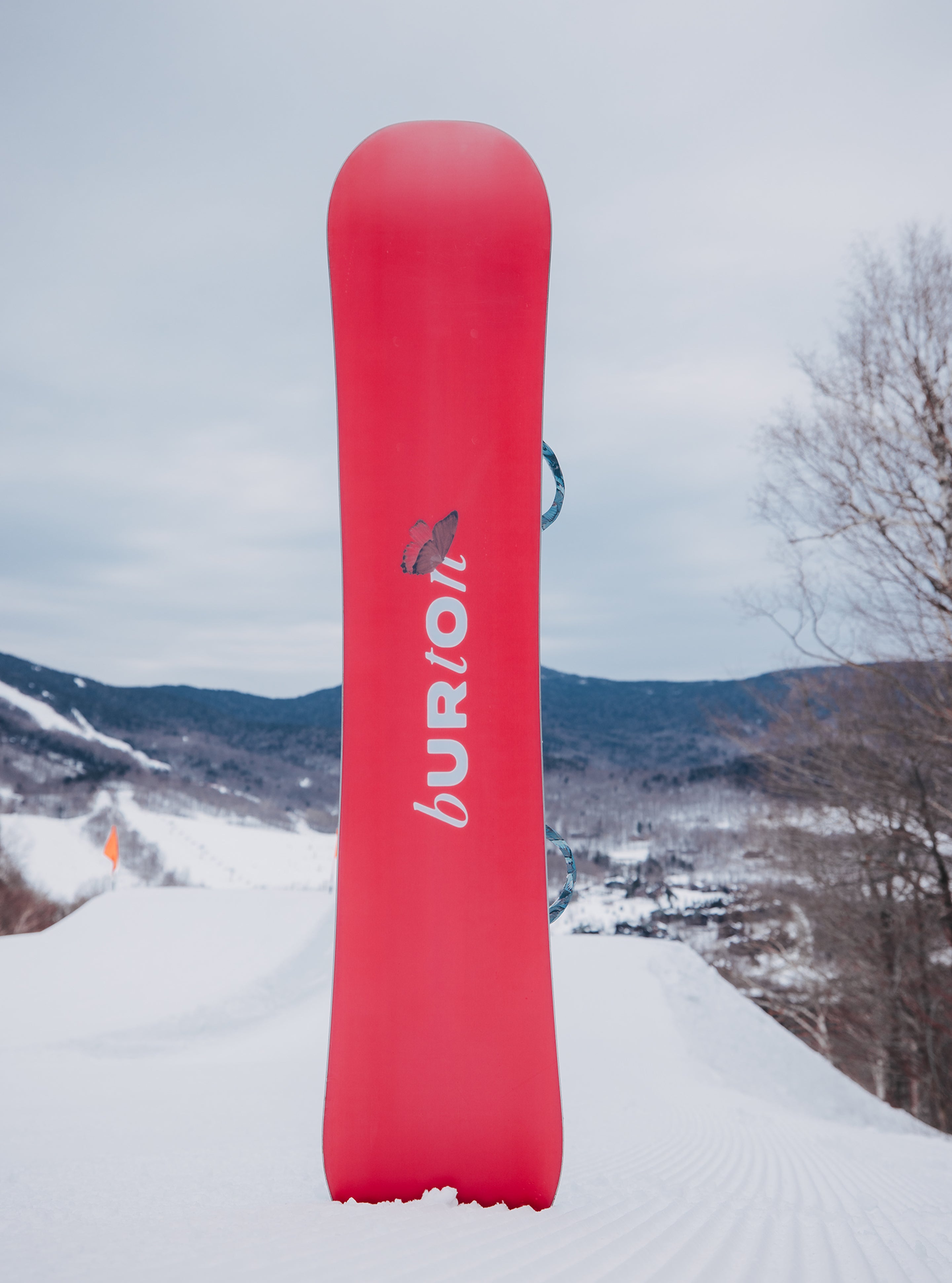 Women's Burton Talent Scout Camber Snowboard | Park | Burton.com Women's Burton Talent Scout Camber Snowboard | Park | Burton.com