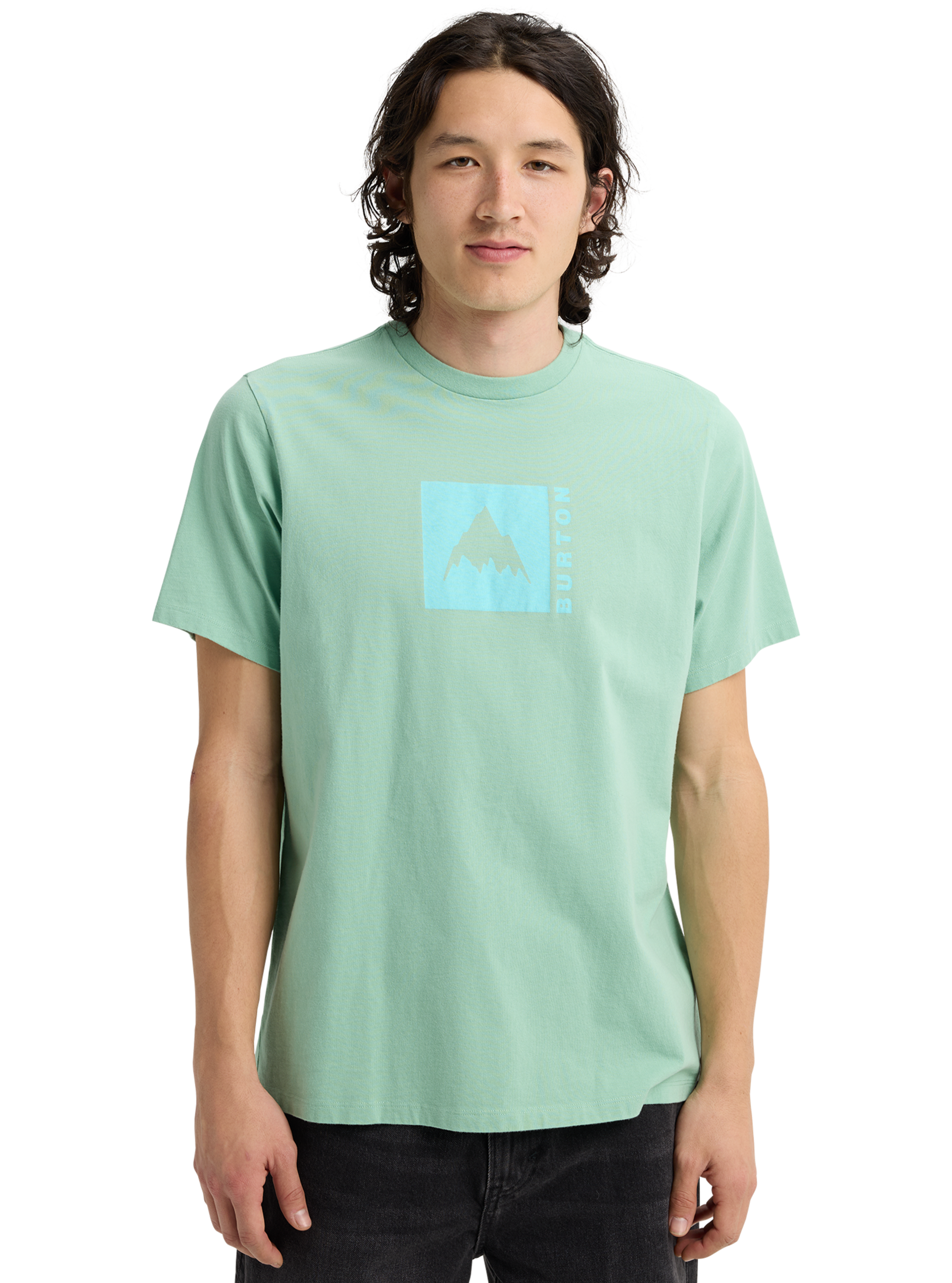 Product image of Burton Classic Mountain Short Sleeve T-Shirt[Variant:Soft Sage]