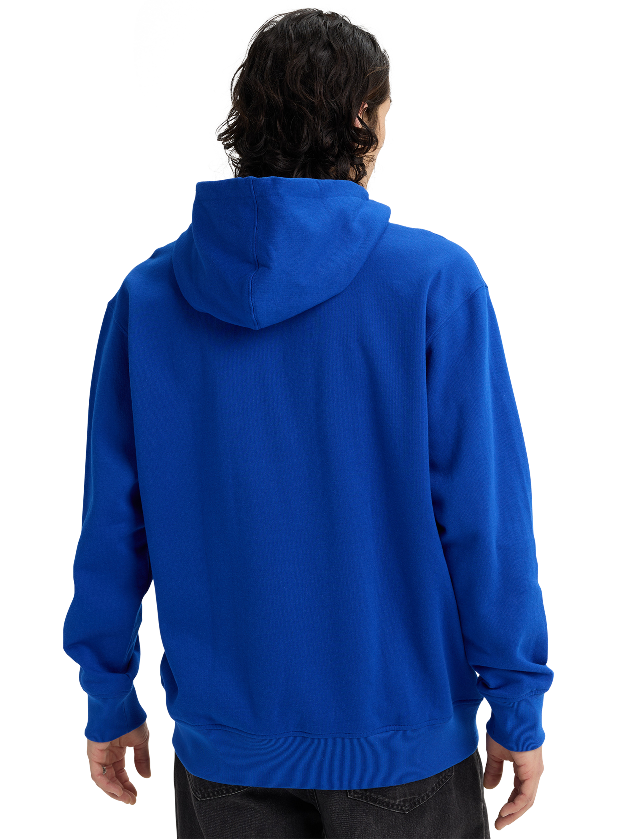 Burton マウンテン プルオーバーフーディー