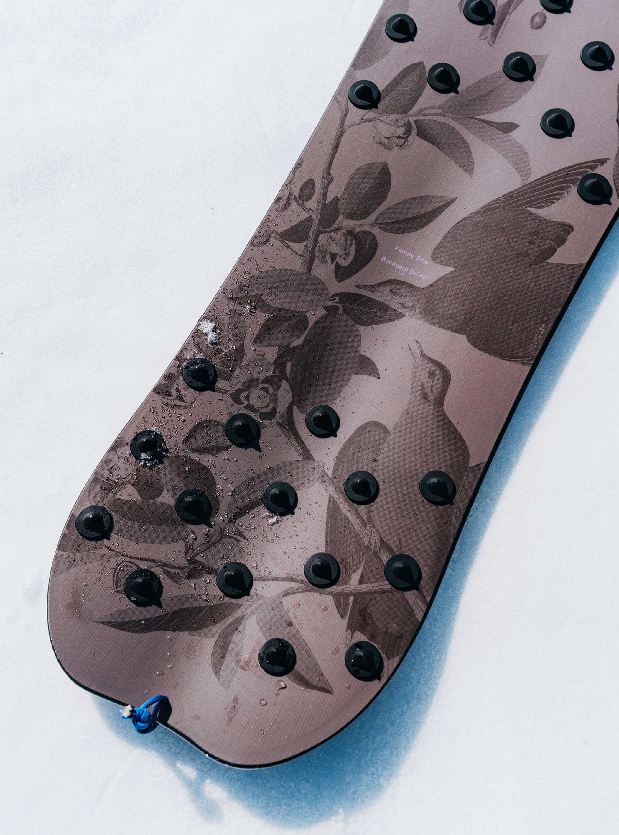 【サンプル】Burton ファミリーツリー バックシートドライバー パウサーフィン スノーボード