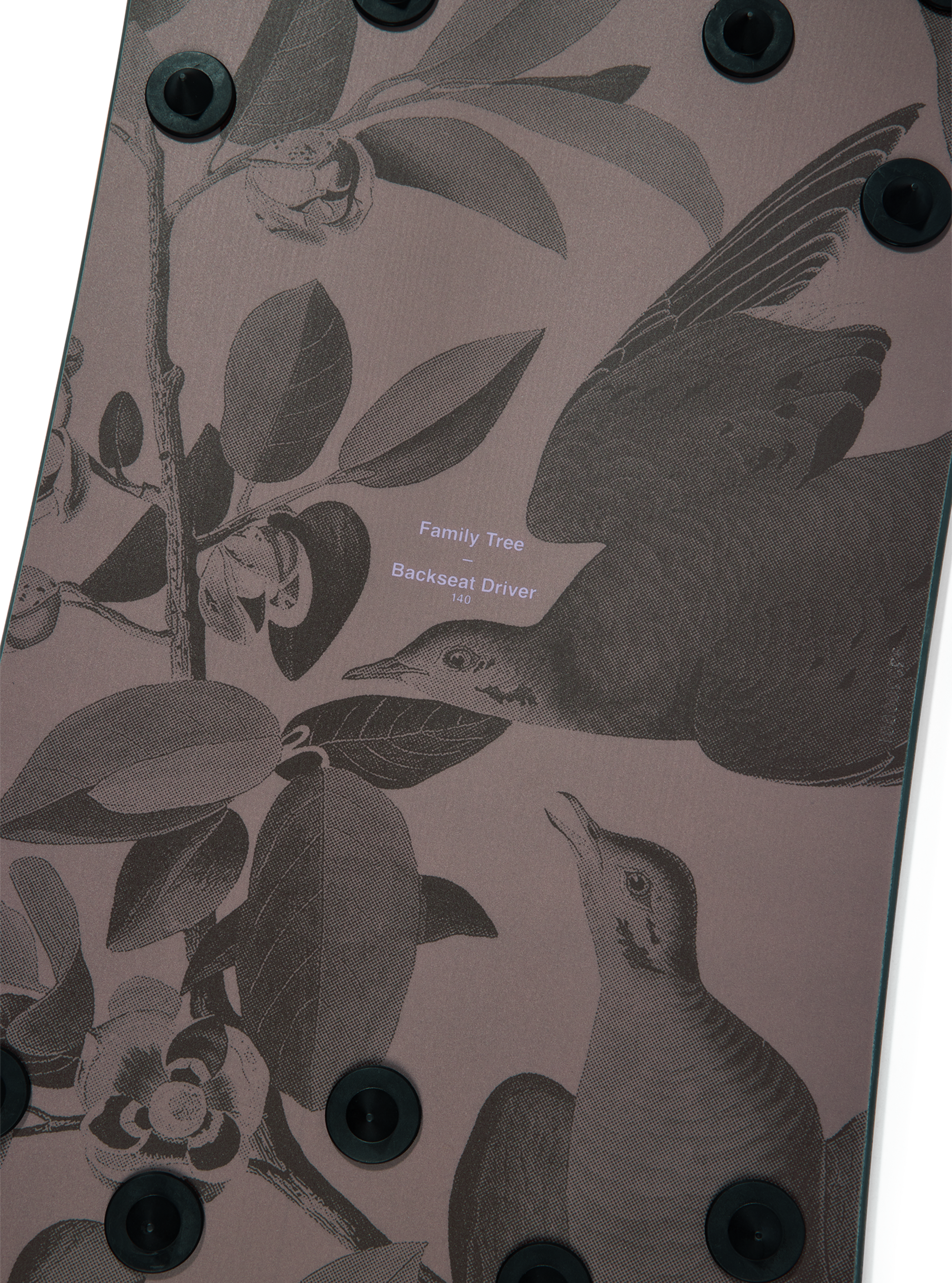 Product image of Burton Family Tree Backseat Driver Pow Surfing Snowboard[Variant:Graphic]