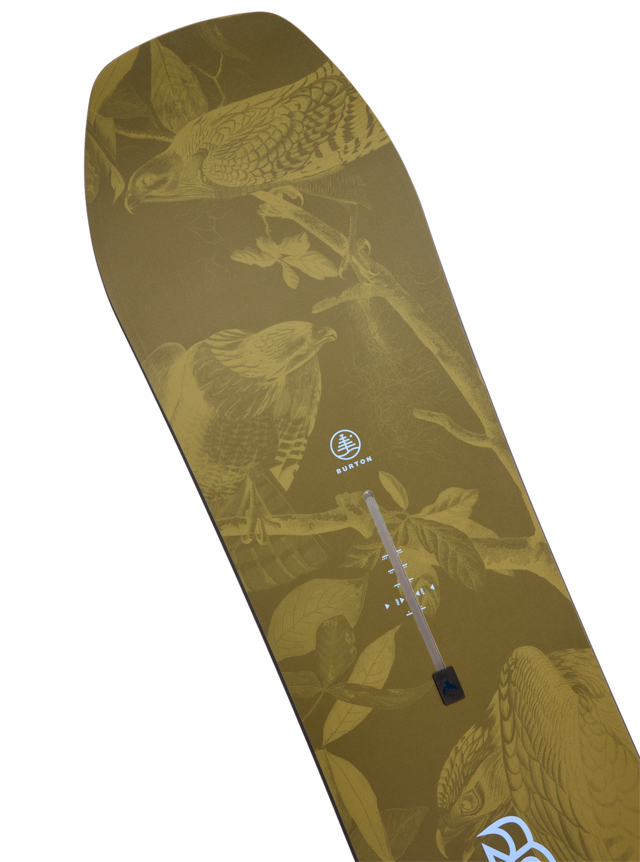 キッズ Burton ファミリーツリー ホームタウンヒーロー キャンバー スノーボード