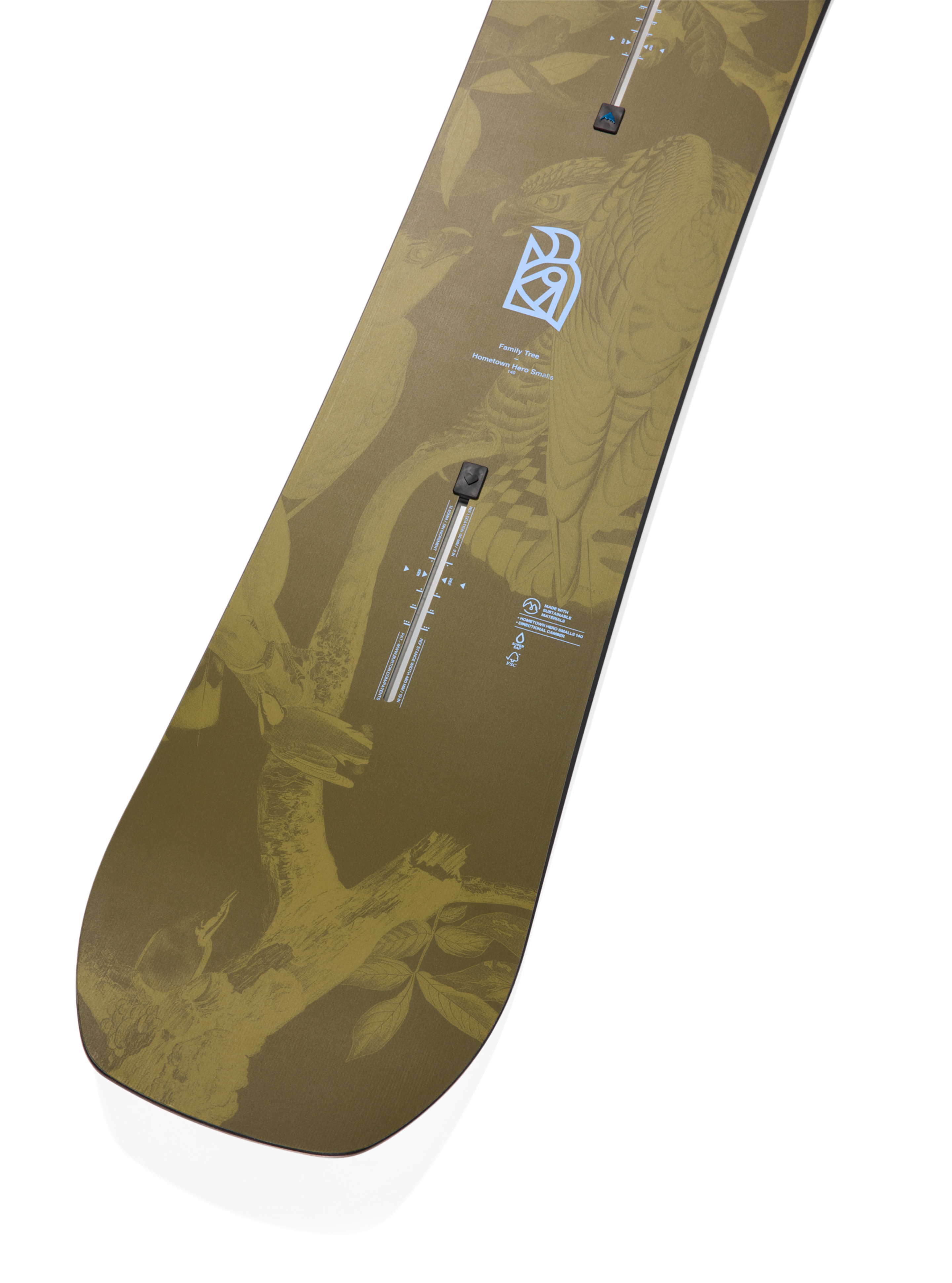 Burton Family Tree One Hitter