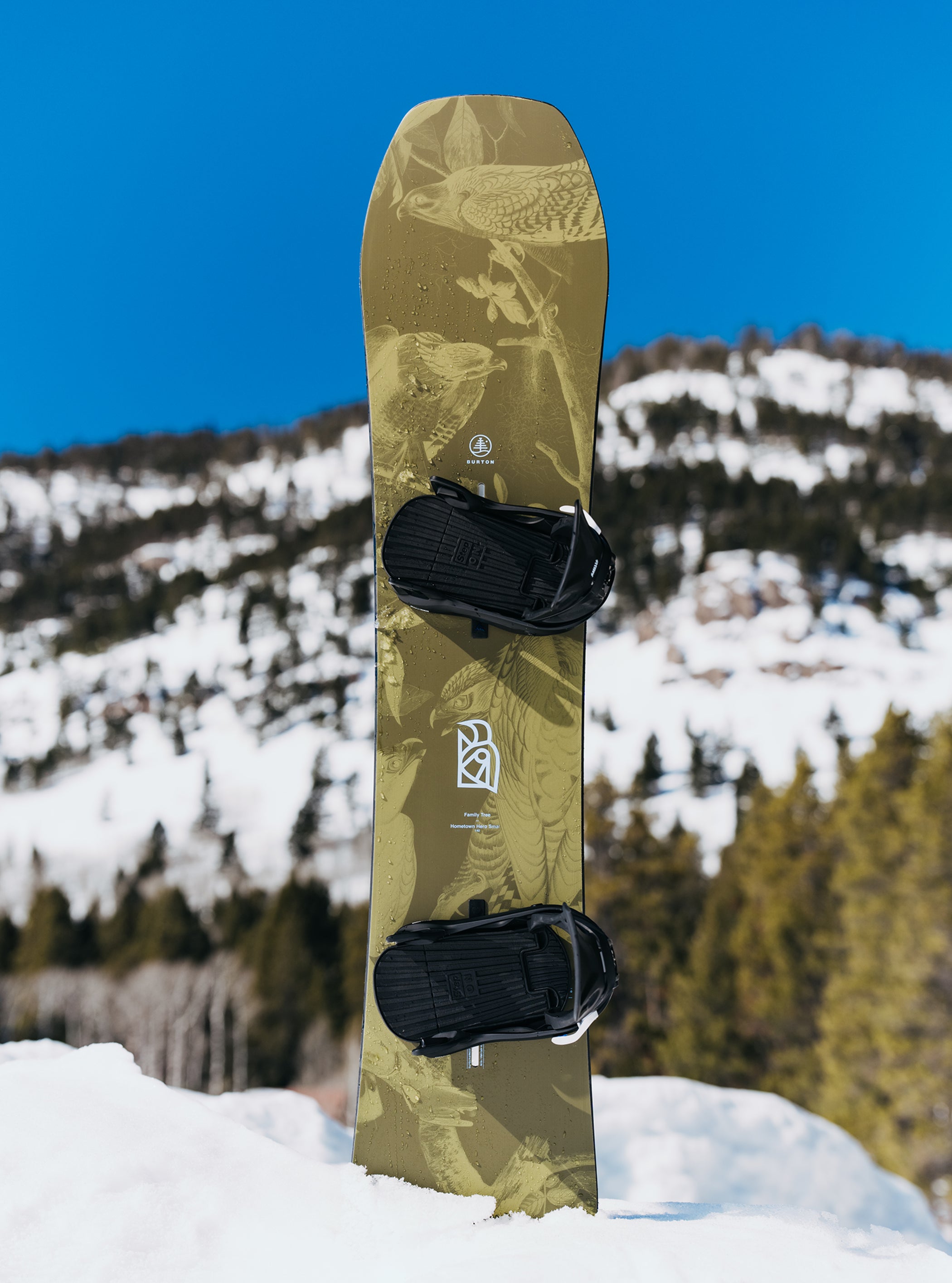 キッズ Burton ファミリーツリー ホームタウンヒーロー キャンバー スノーボード