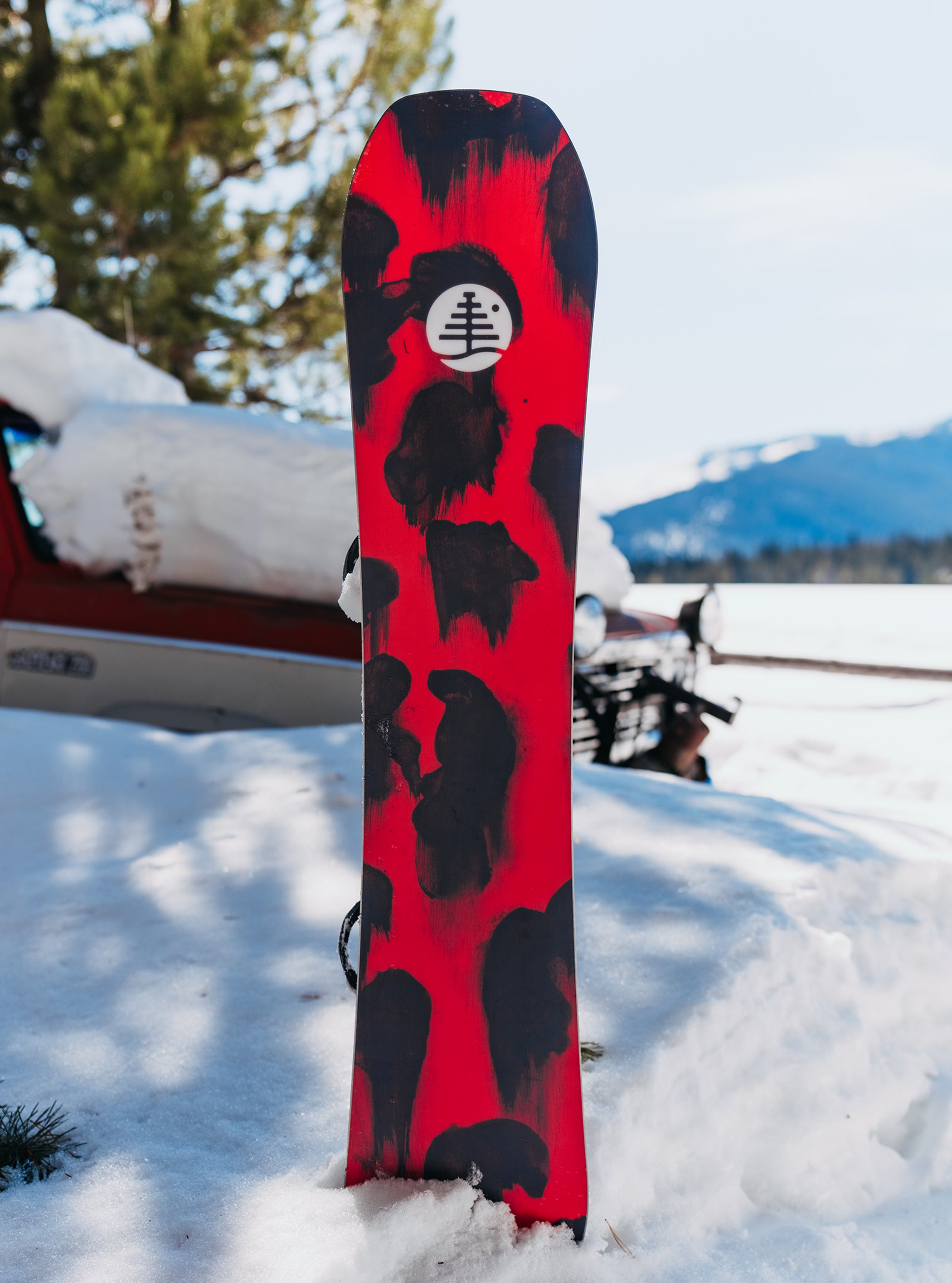 キッズ Burton ファミリーツリー ホームタウンヒーロー キャンバー スノーボード