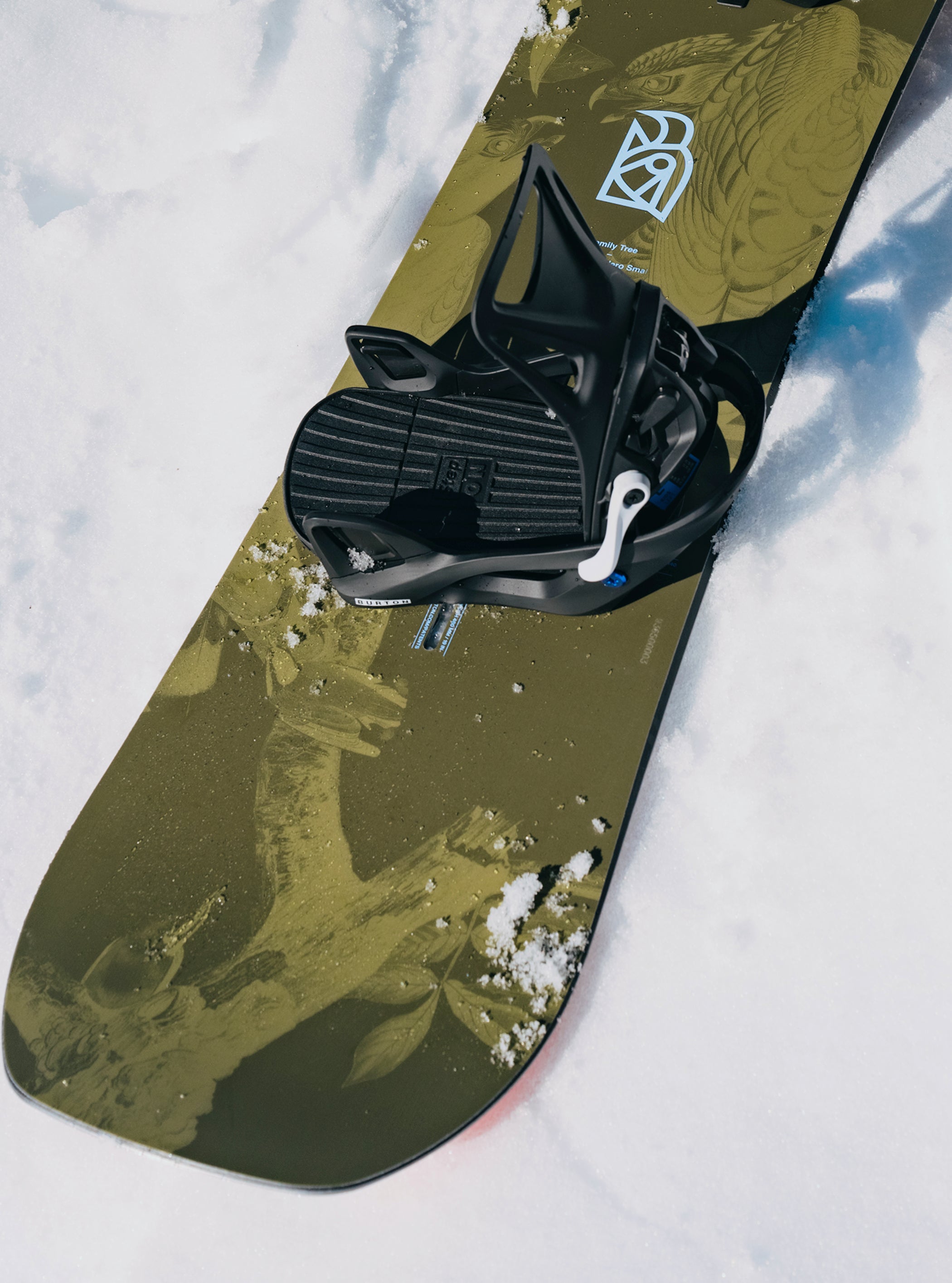 キッズ Burton ファミリーツリー ホームタウンヒーロー キャンバー スノーボード