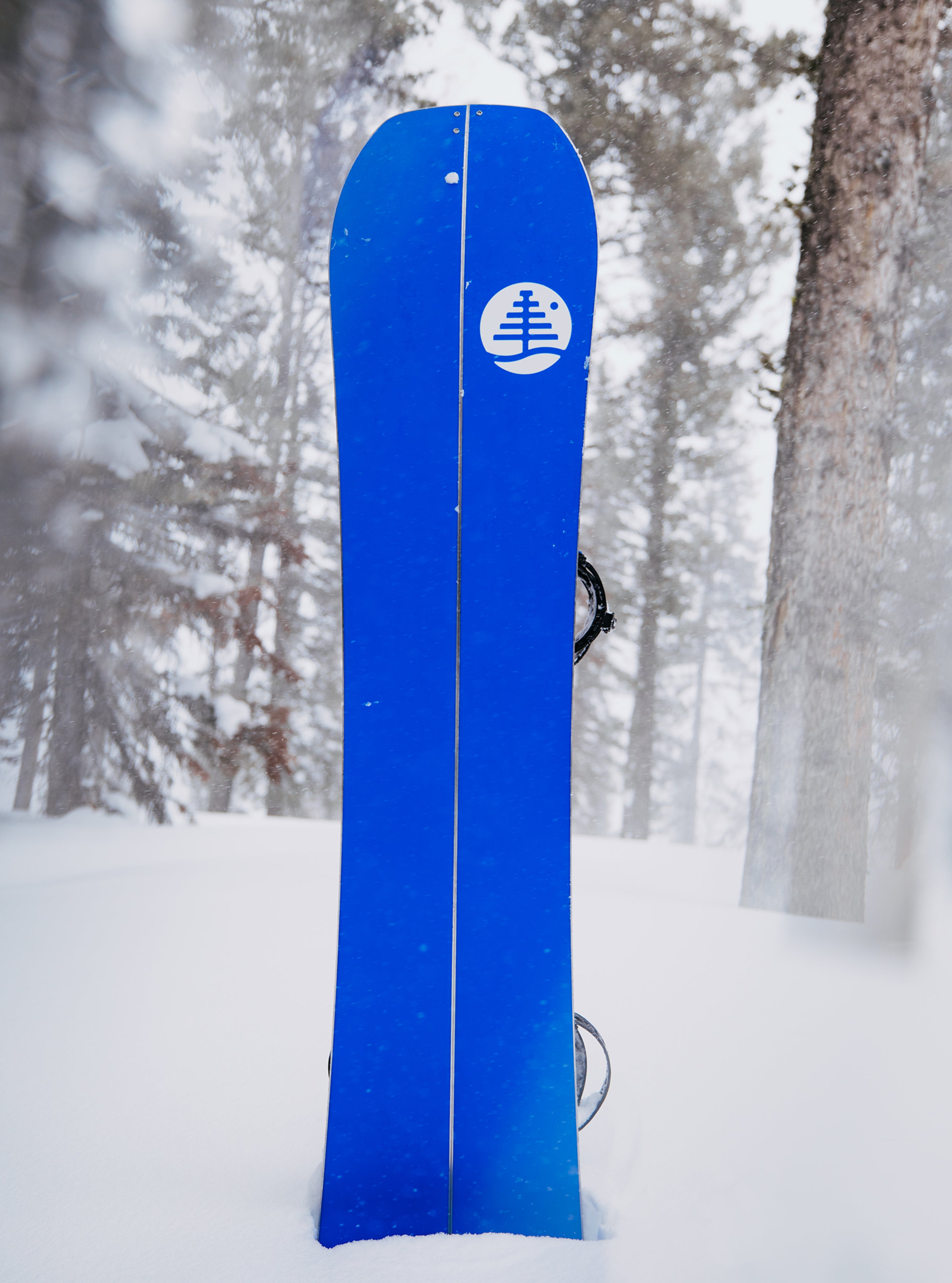 Burton Family Tree Hometown Hero Splitboard