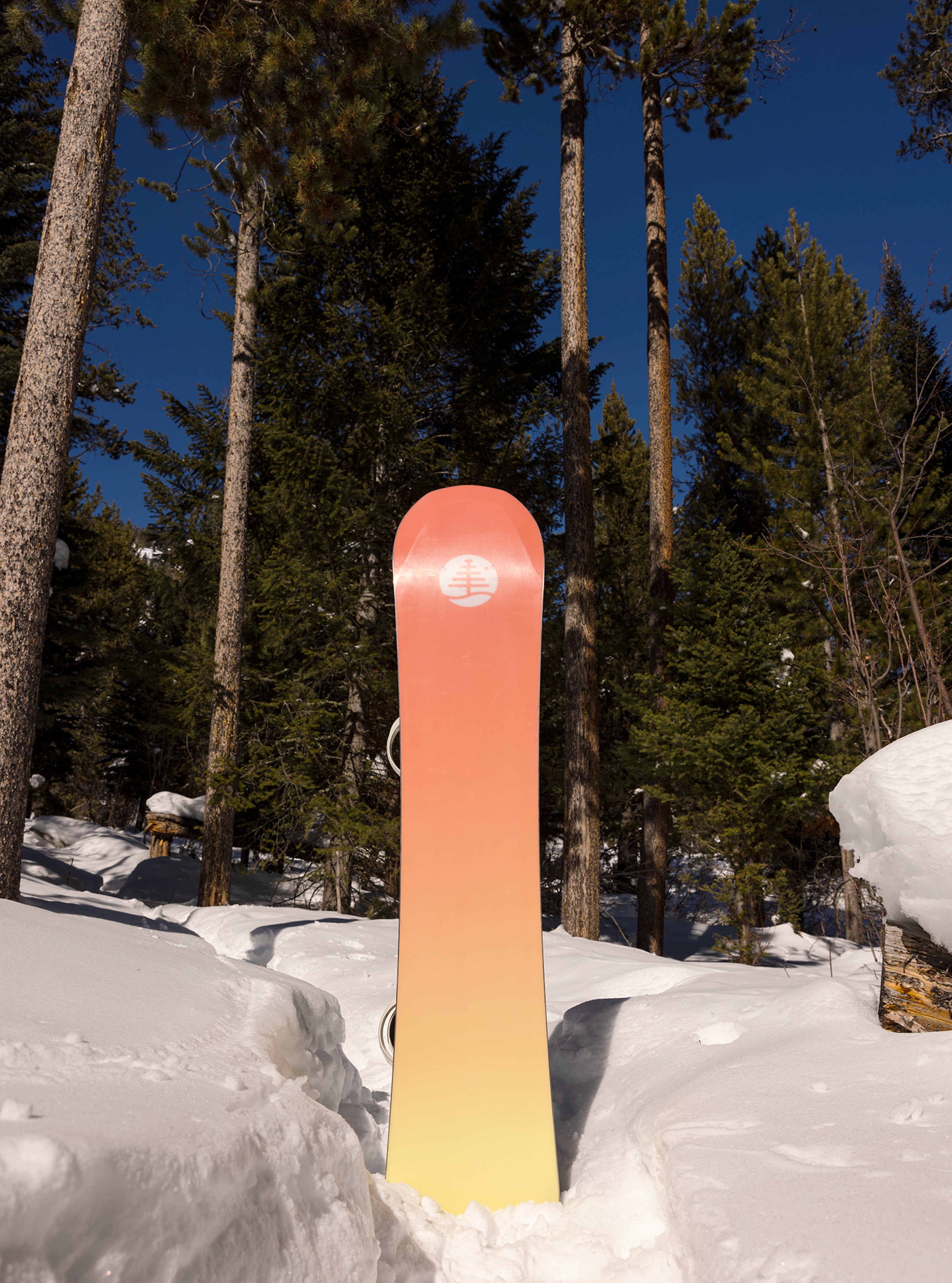 Burton Family Tree 3D Daily Driver Camber Snowboard 2025 Burton Family Tree 3D Daily Driver Camber Snowboard 2025