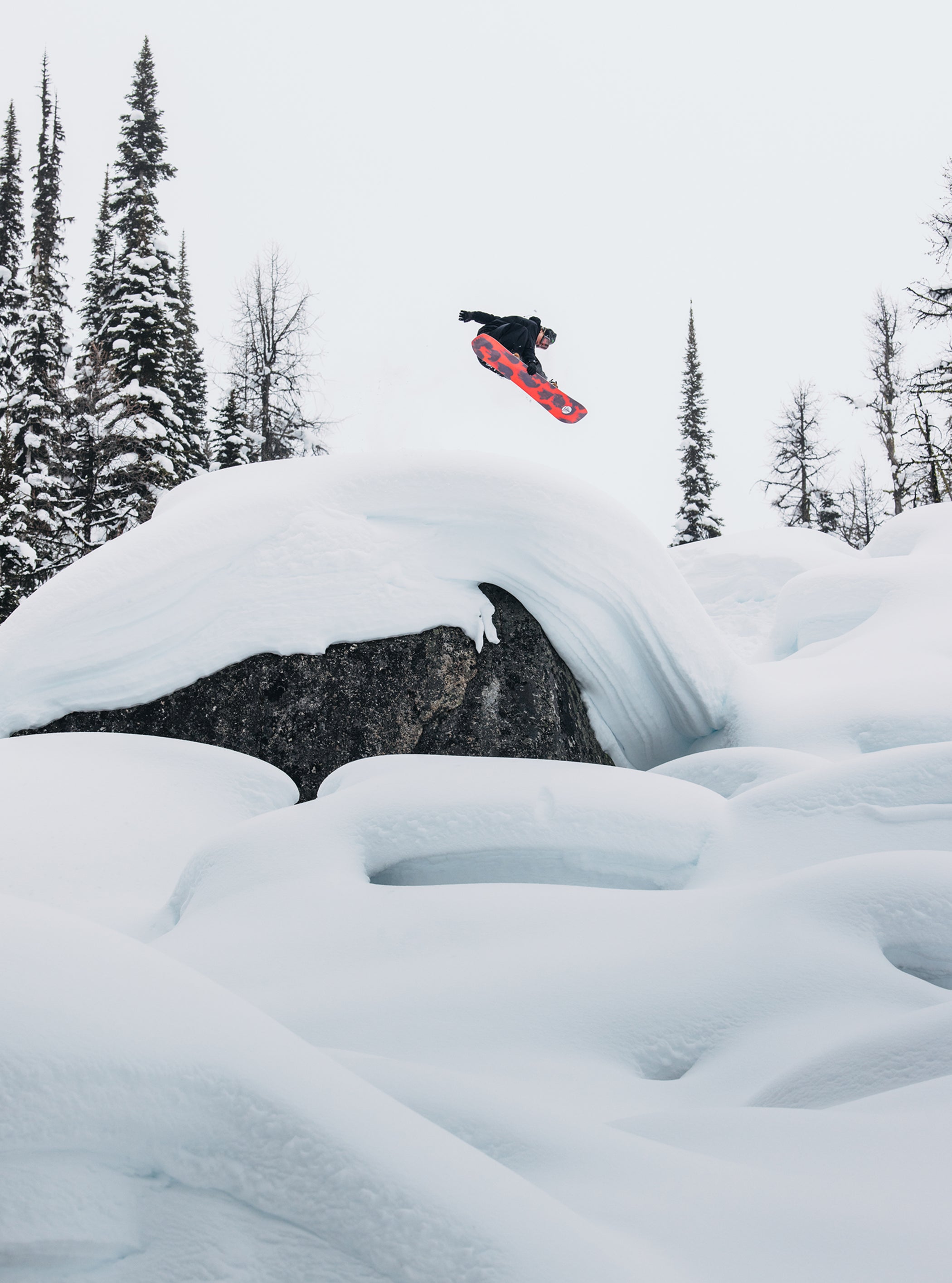 Burton ファミリーツリー ホームタウンヒーロー キャンバー スノーボード