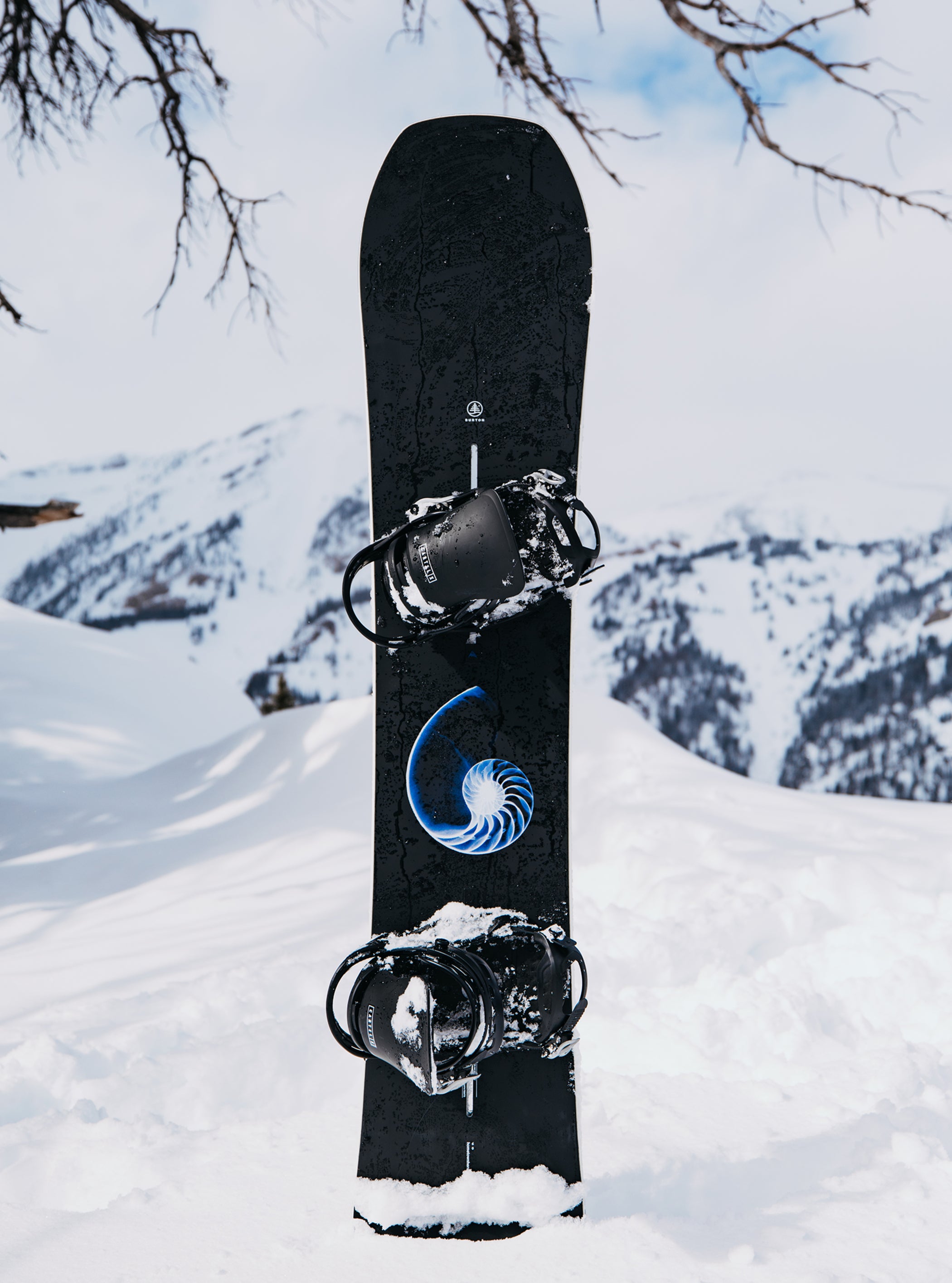 Burton ファミリーツリー ホームタウンヒーロー キャンバー スノーボード