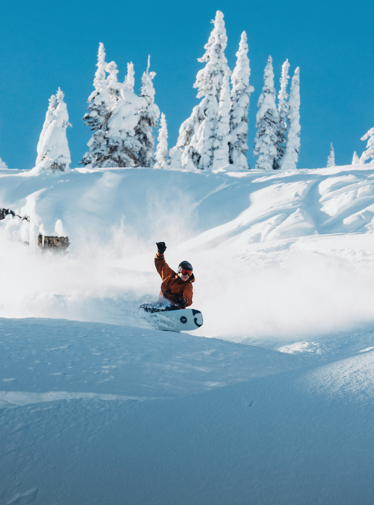 Product image of Burton Family Tree Hometown Hero Camber Snowboard[Variant:X-Ray]