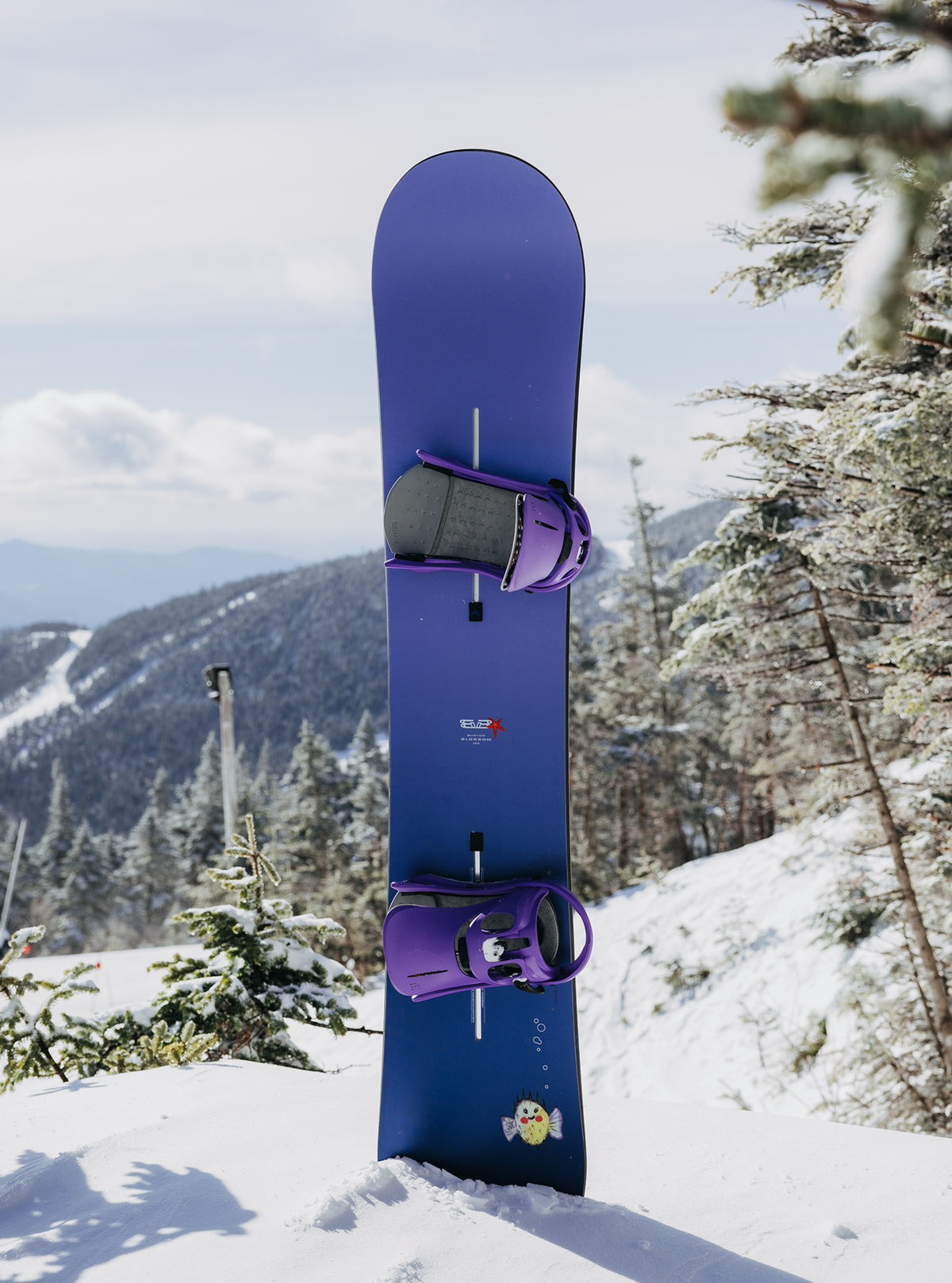 Burton ブロッサム キャンバー スノーボード