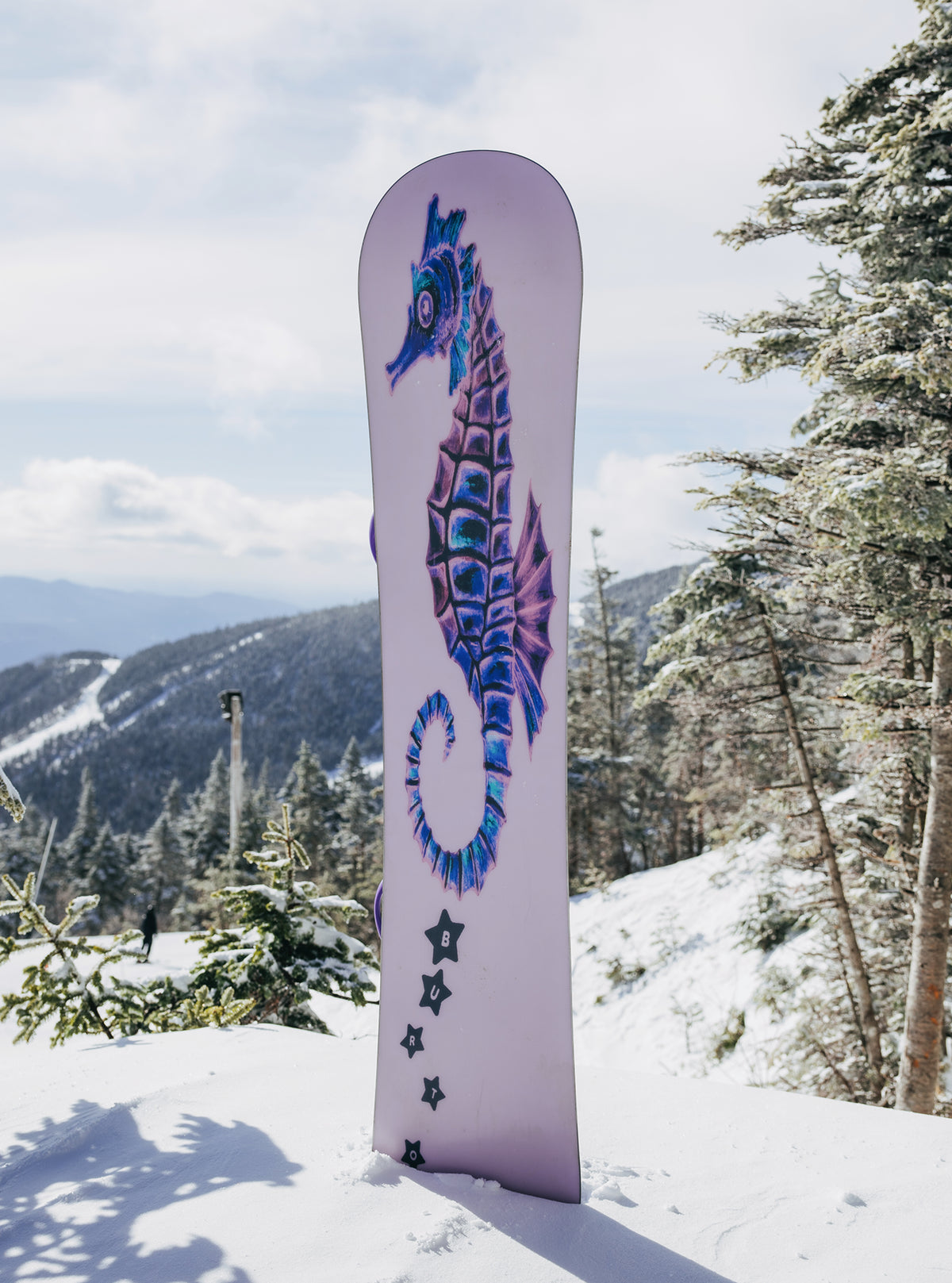 Burton ブロッサム キャンバー スノーボード
