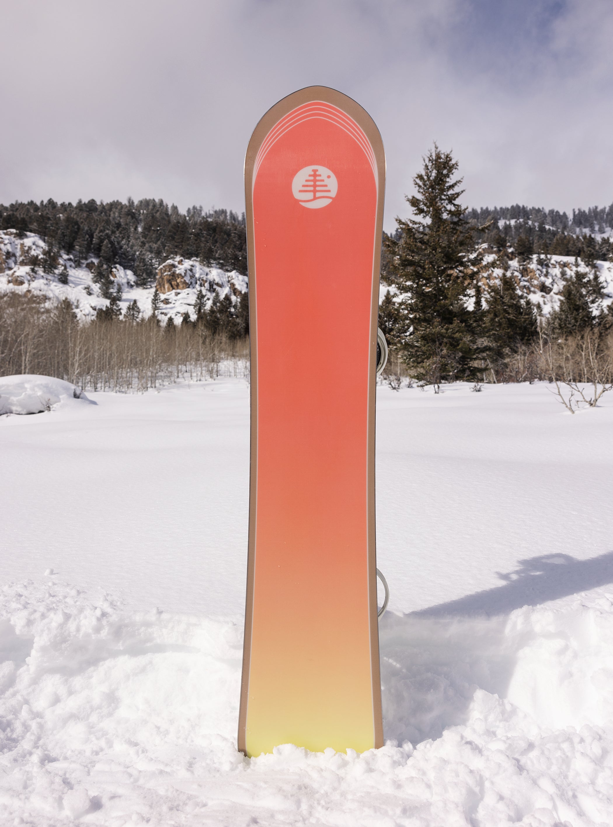 Burton ファミリーツリー パワーワゴン キャンバー スノーボード