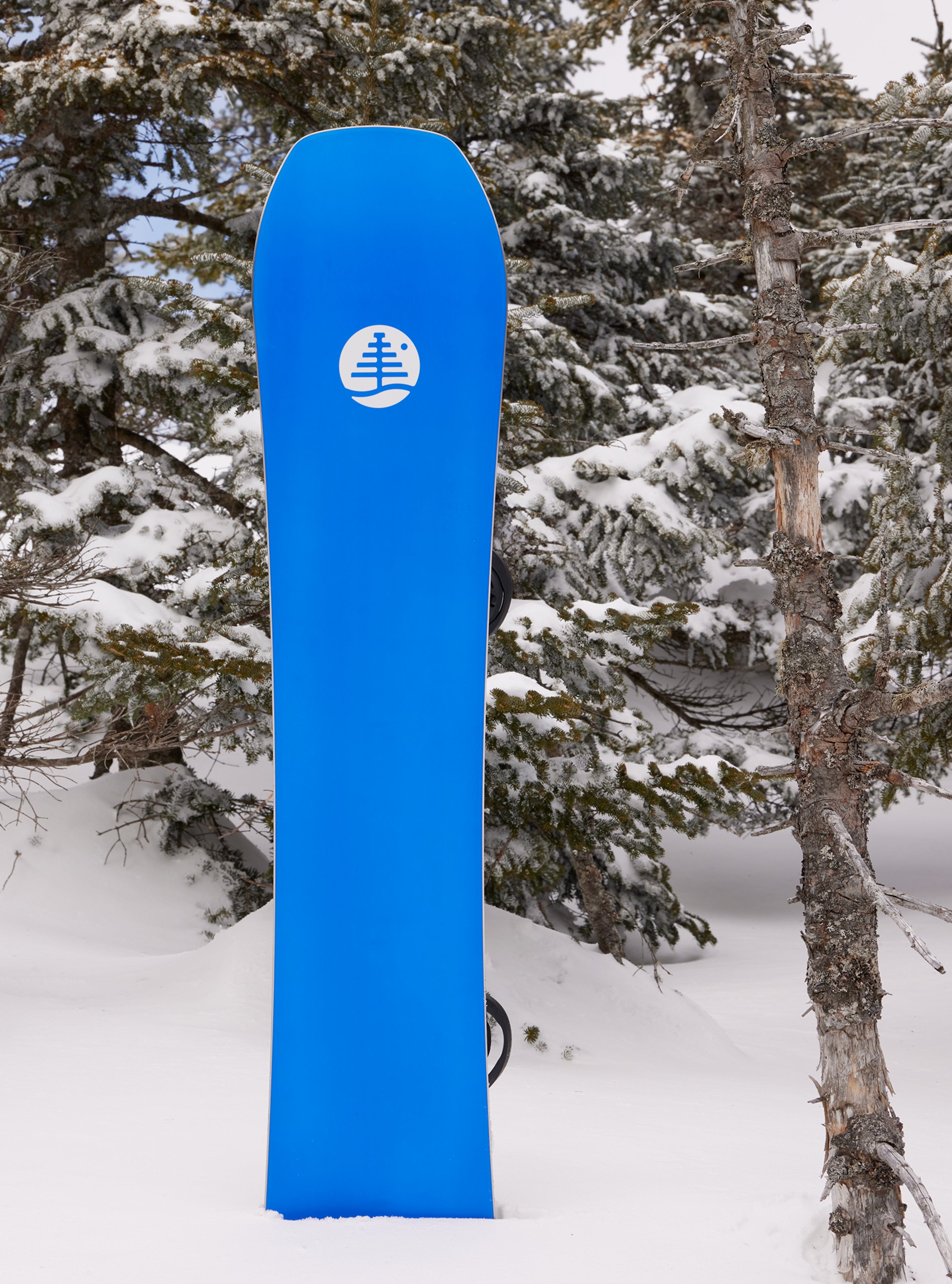 Burton Mystery Hometown Hero Camber Snowboard | Burton.com Winter 2024