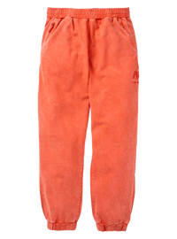 Product image of Burton AG Outfall Pants[Variant:Fiesta Red]