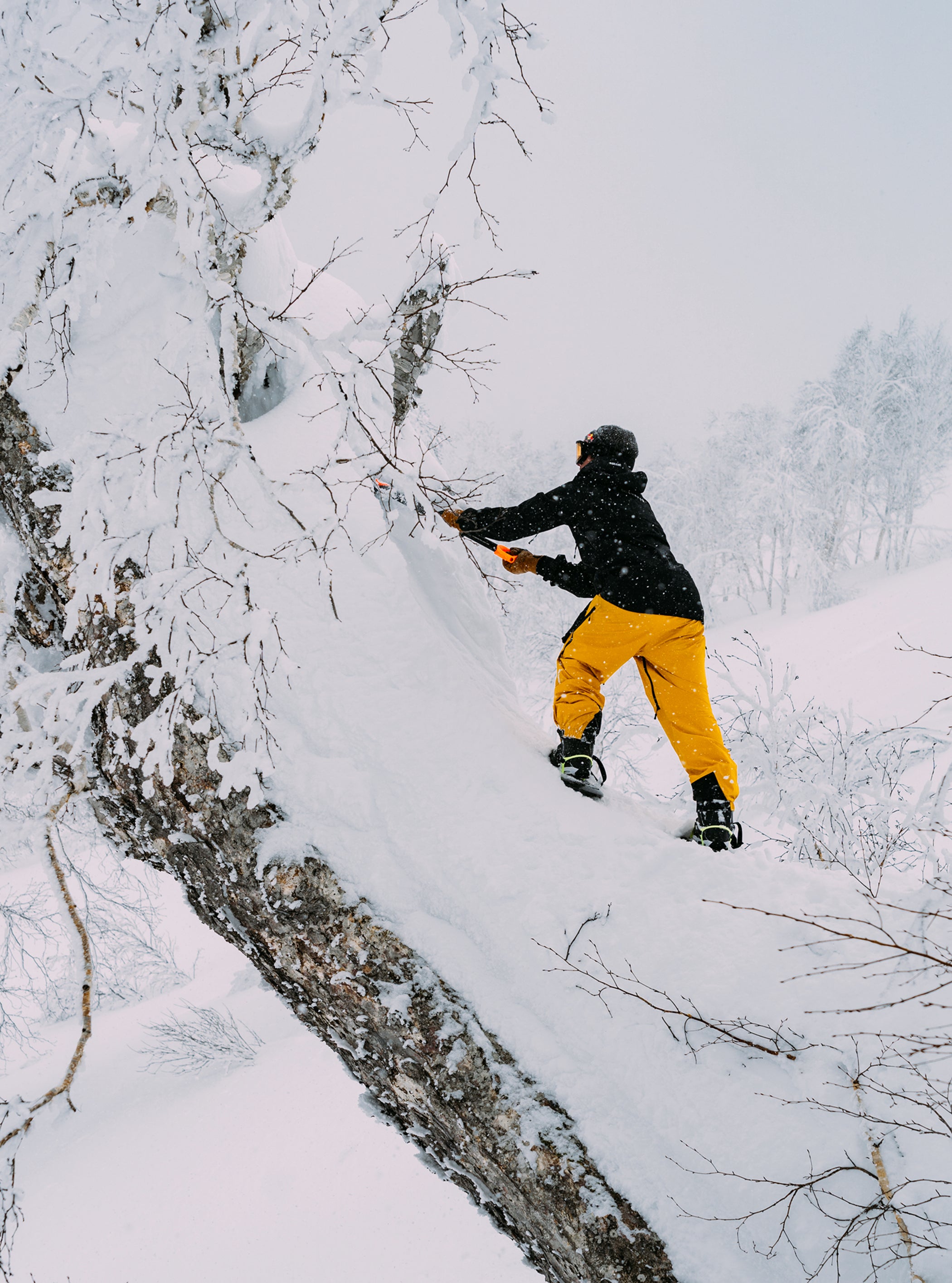 Product image of Men's Burton [ak] Tuvak GORE-TEX C-KNIT 3L Pants[Variant:Goldenrod / True Black]