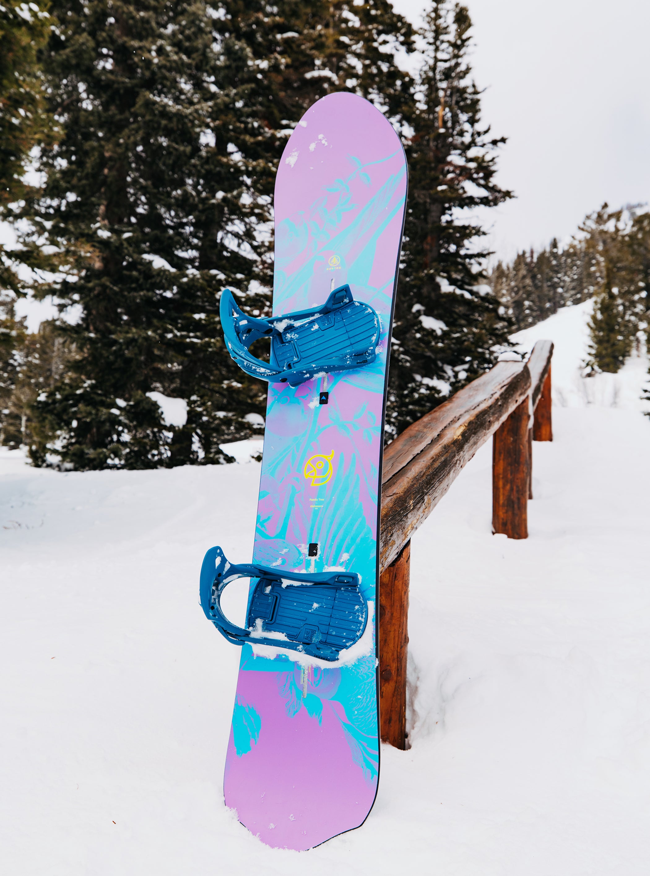 【サンプル】Burton ファミリーツリー Alekesam キャンバー スノーボード
