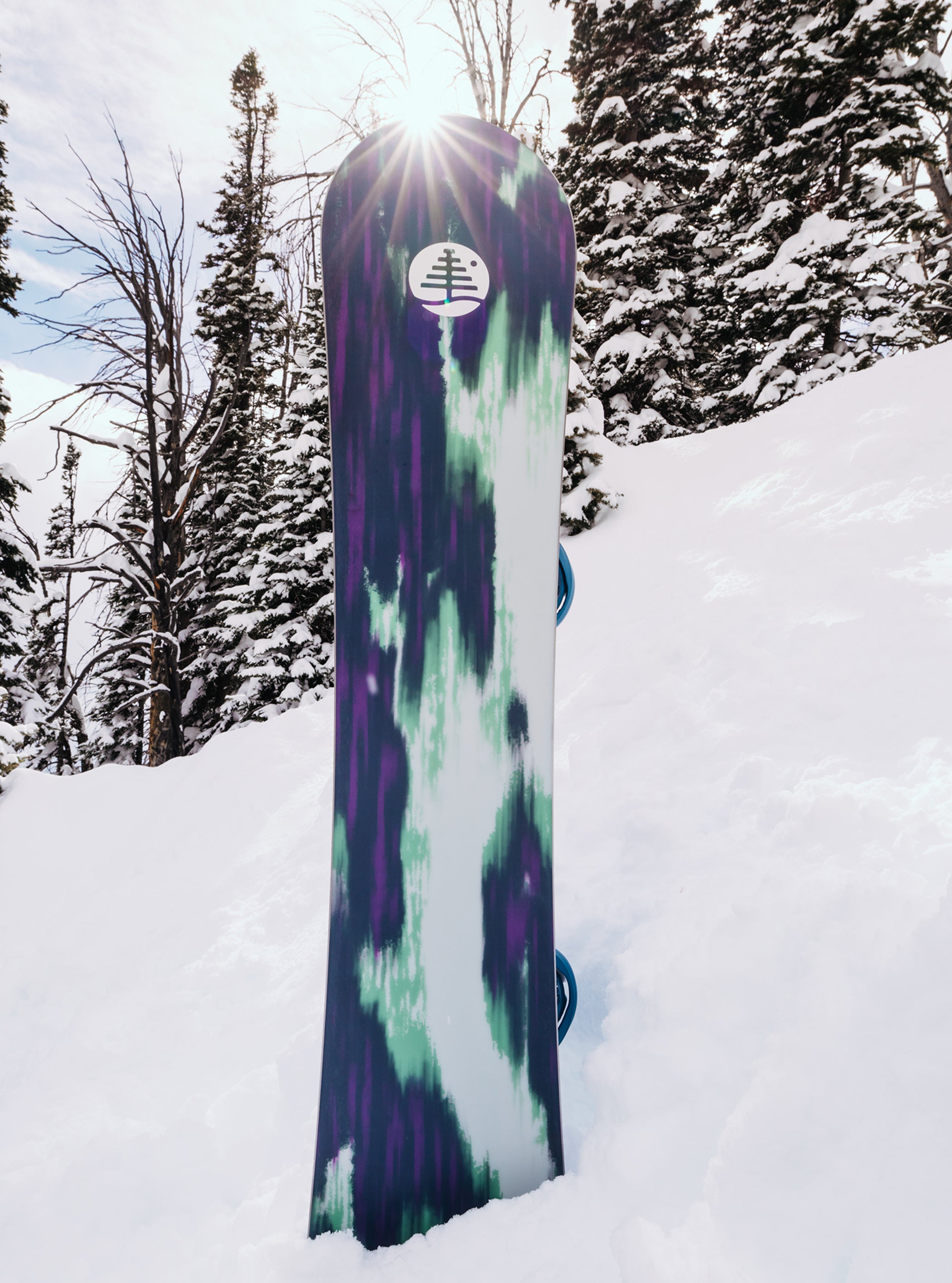 【サンプル】Burton ファミリーツリー Alekesam キャンバー スノーボード