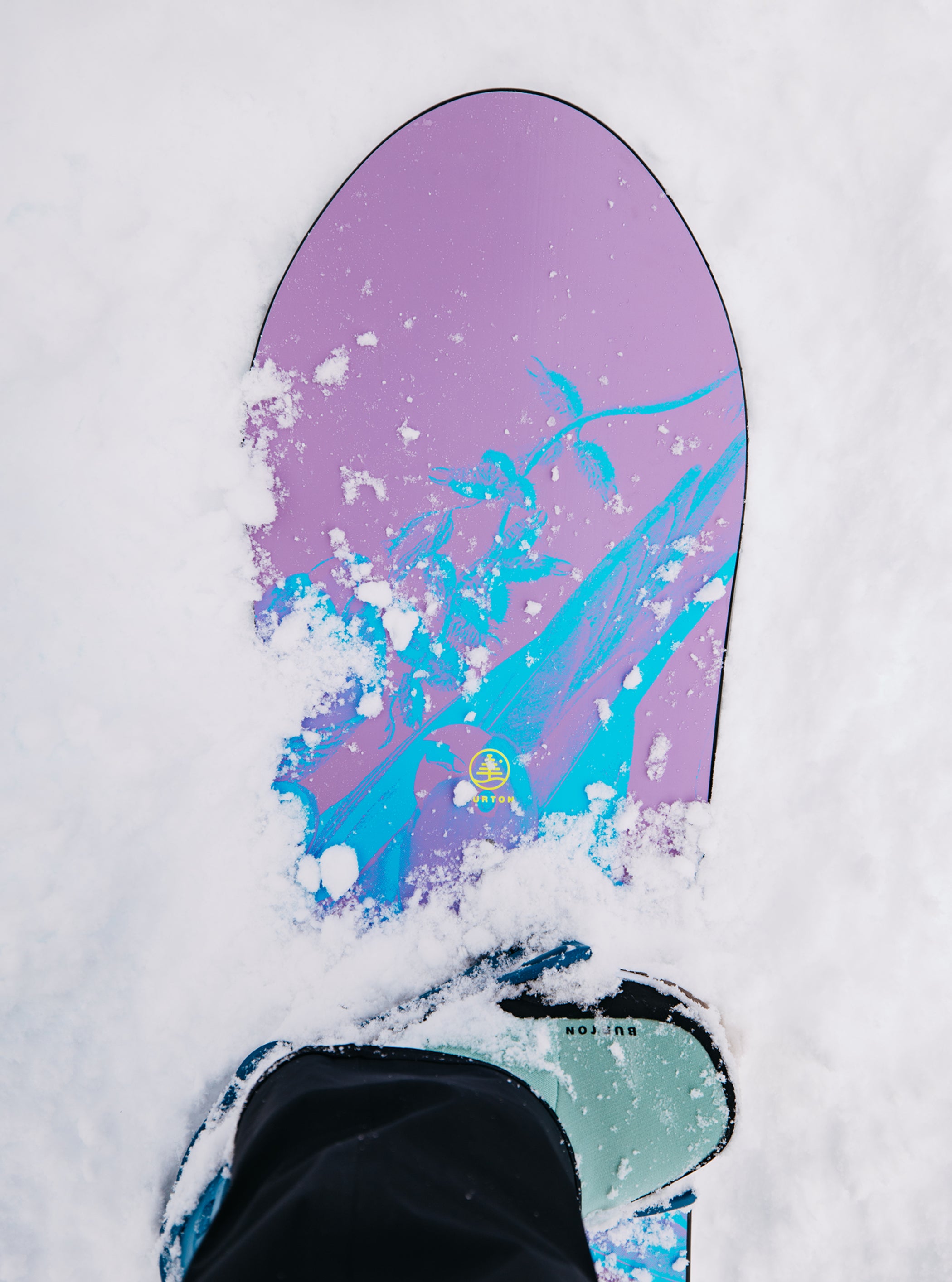 【サンプル】Burton ファミリーツリー Alekesam キャンバー スノーボード
