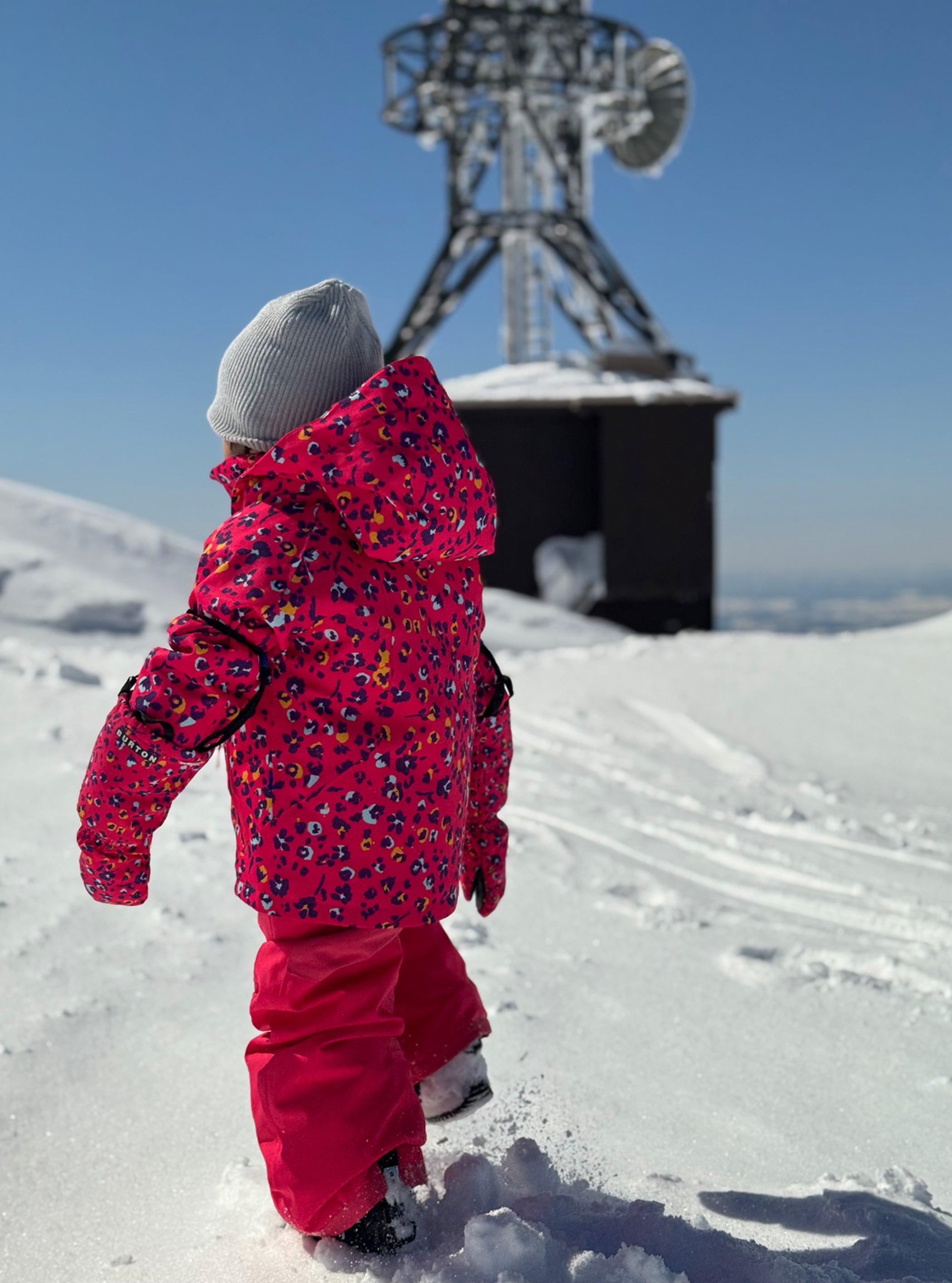 Product image of Toddlers' Burton Hillslope 2L Jacket (Sample)[Variant:Wildcat Floral]