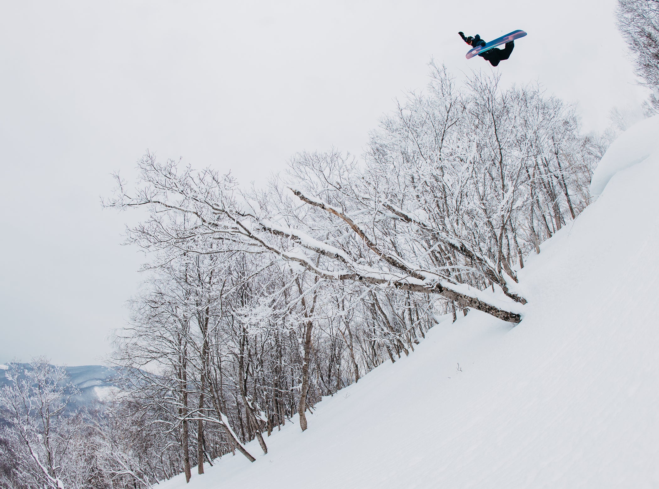 Burton ファミリーツリー ハイフィデリティー キャンバー スノーボード
