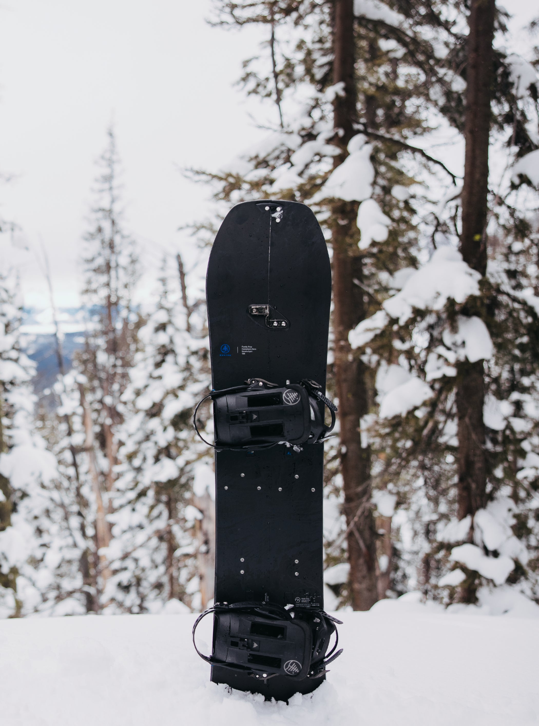 キッズ Burton ファミリーツリー ホームタウンヒーロー スモールズ スプリットボード