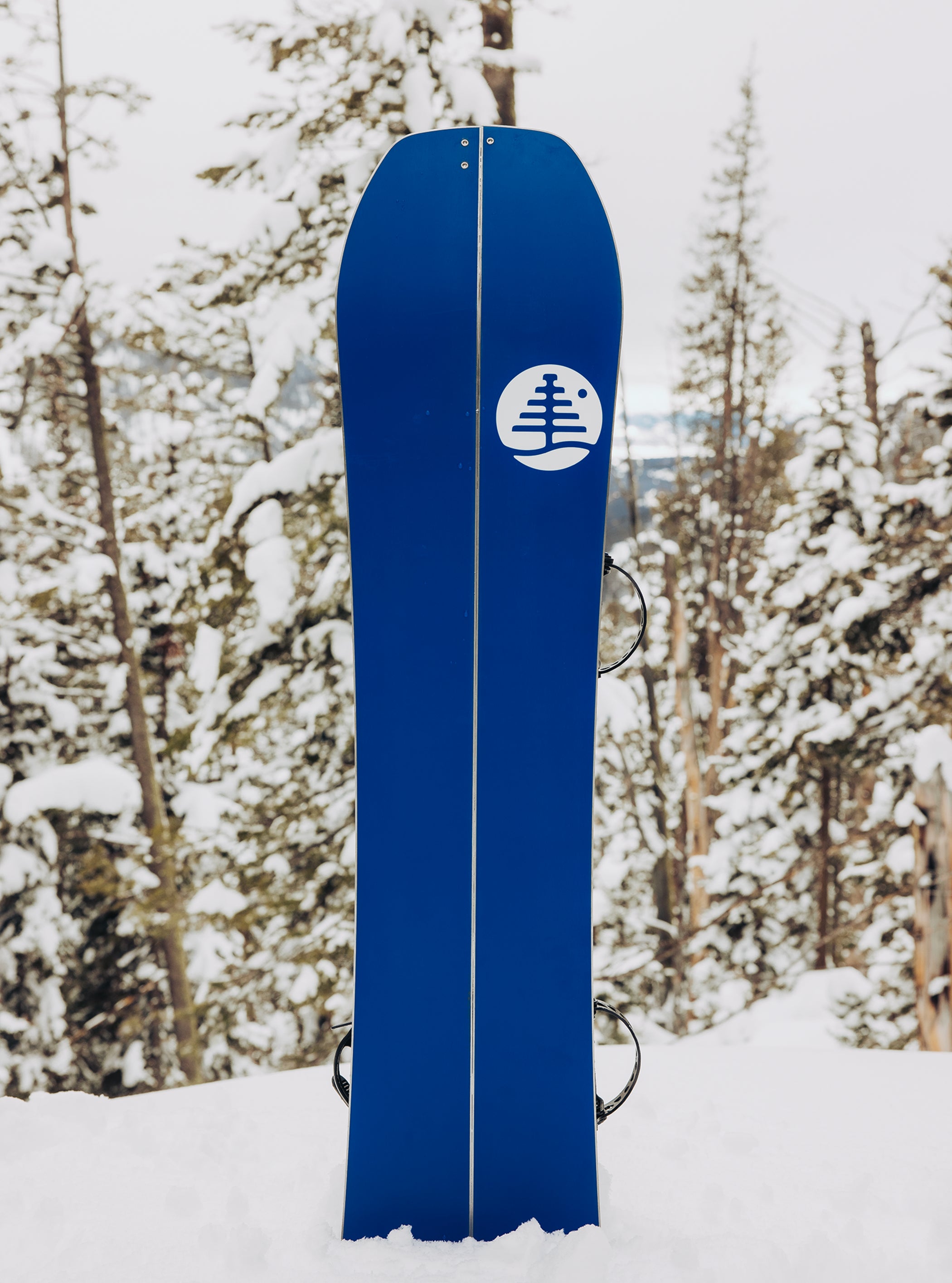 キッズ Burton ファミリーツリー ホームタウンヒーロー スモールズ スプリットボード