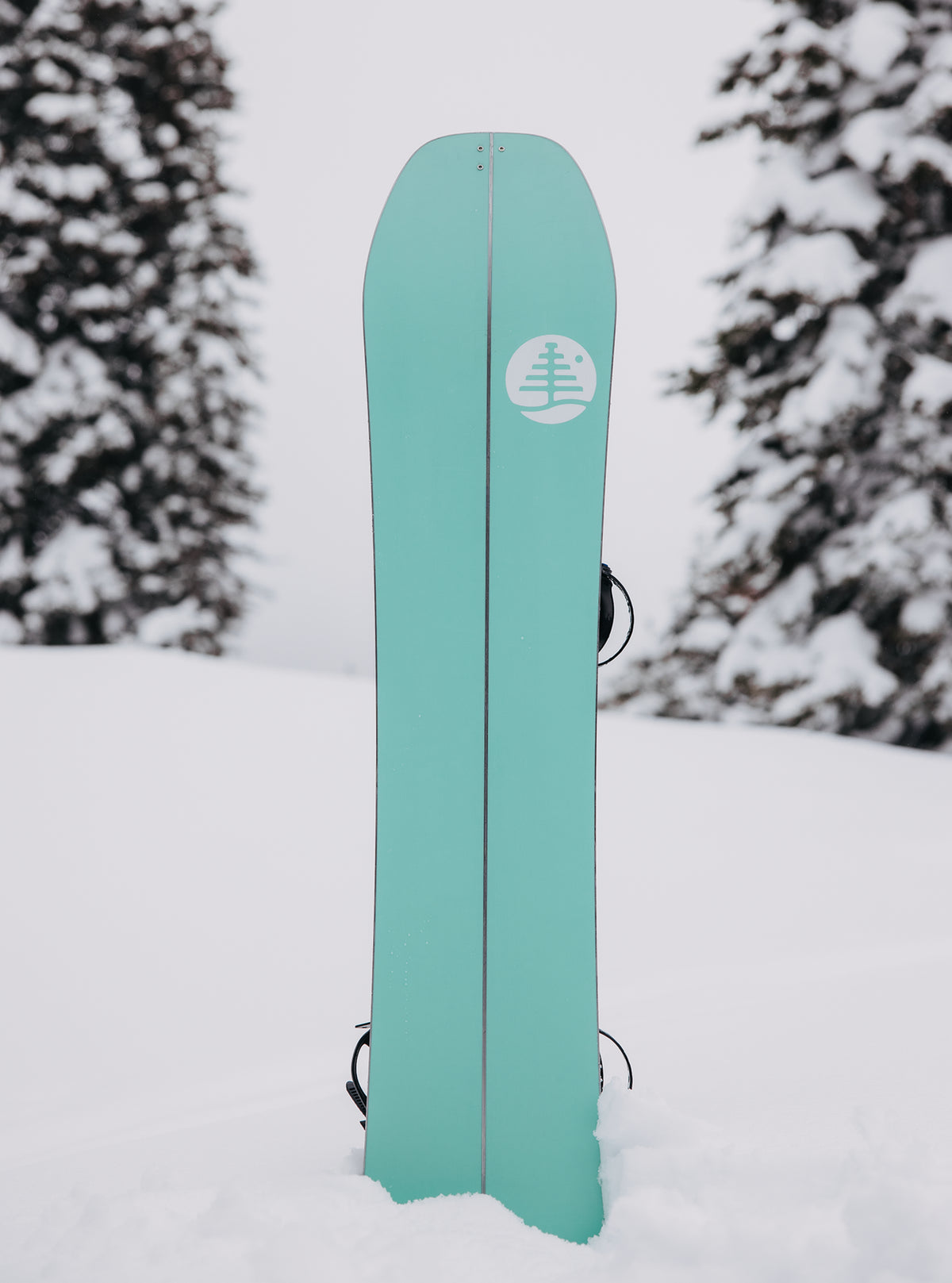 Burton ファミリーツリー ハイフィデリティ キャンバー スプリット Burton ファミリーツリー ハイフィデリティ キャンバー スプリット