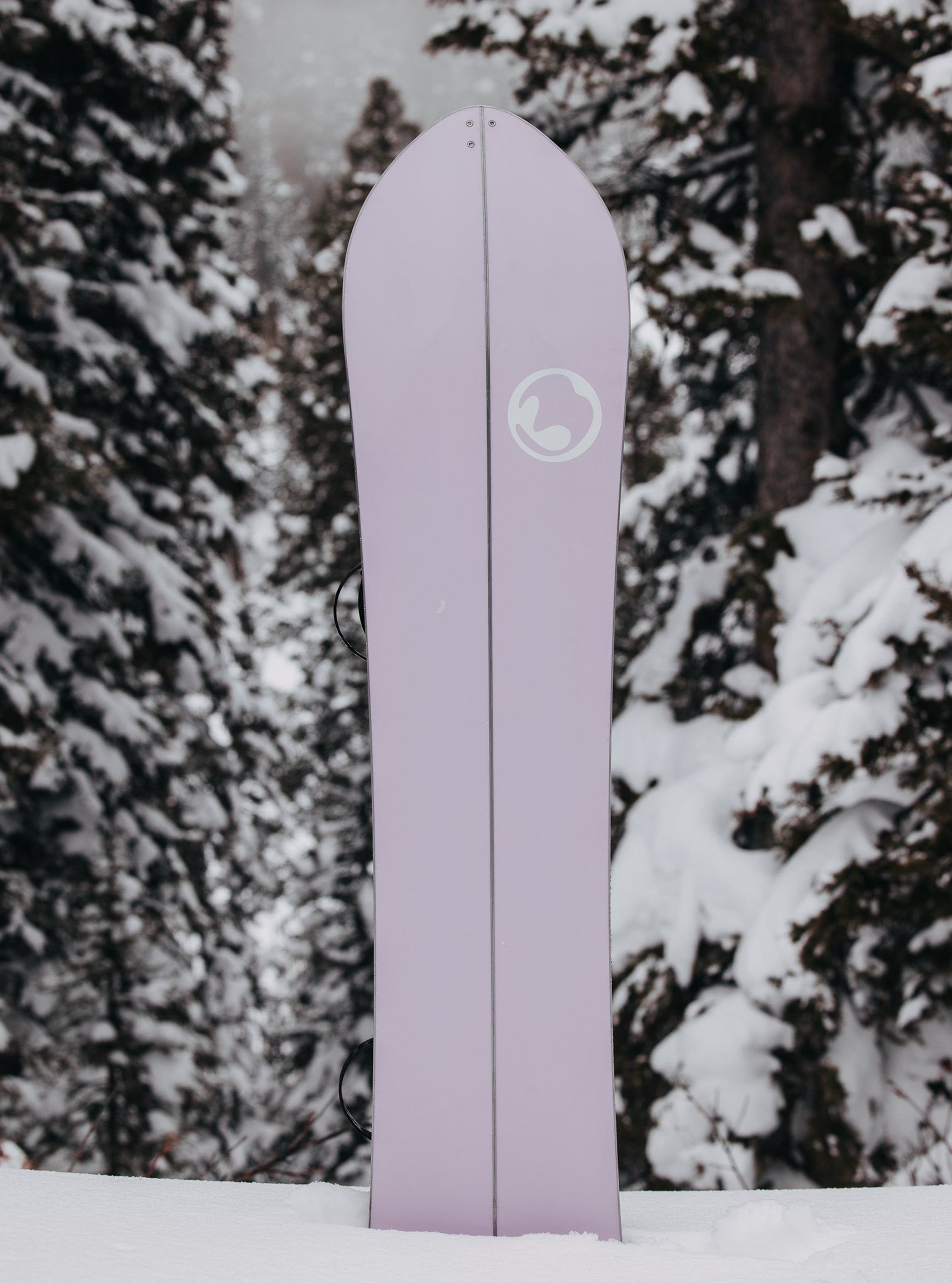 Burton 3D フィッシュ ディレクショナル Flat Top スプリットボード