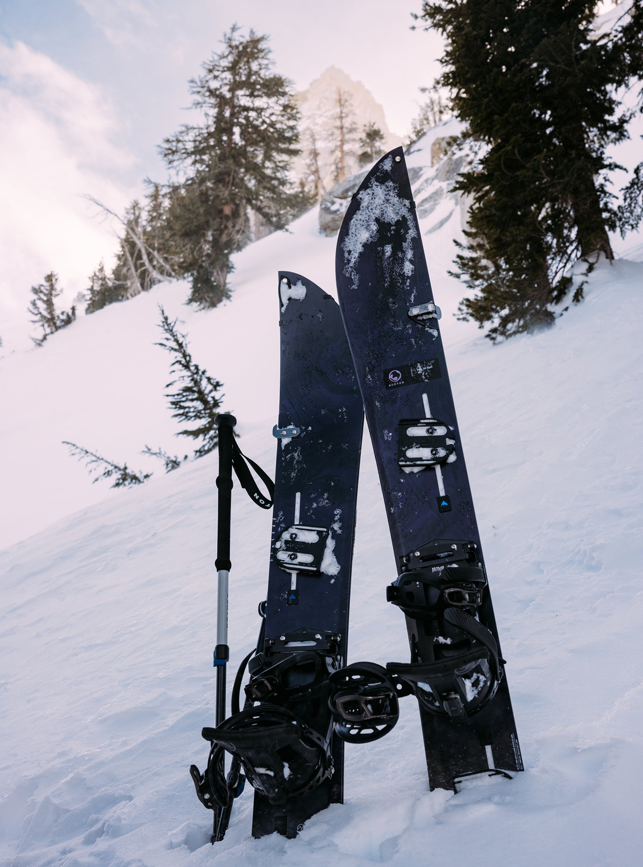 Burton 3D フィッシュ ディレクショナル Flat Top スプリットボード