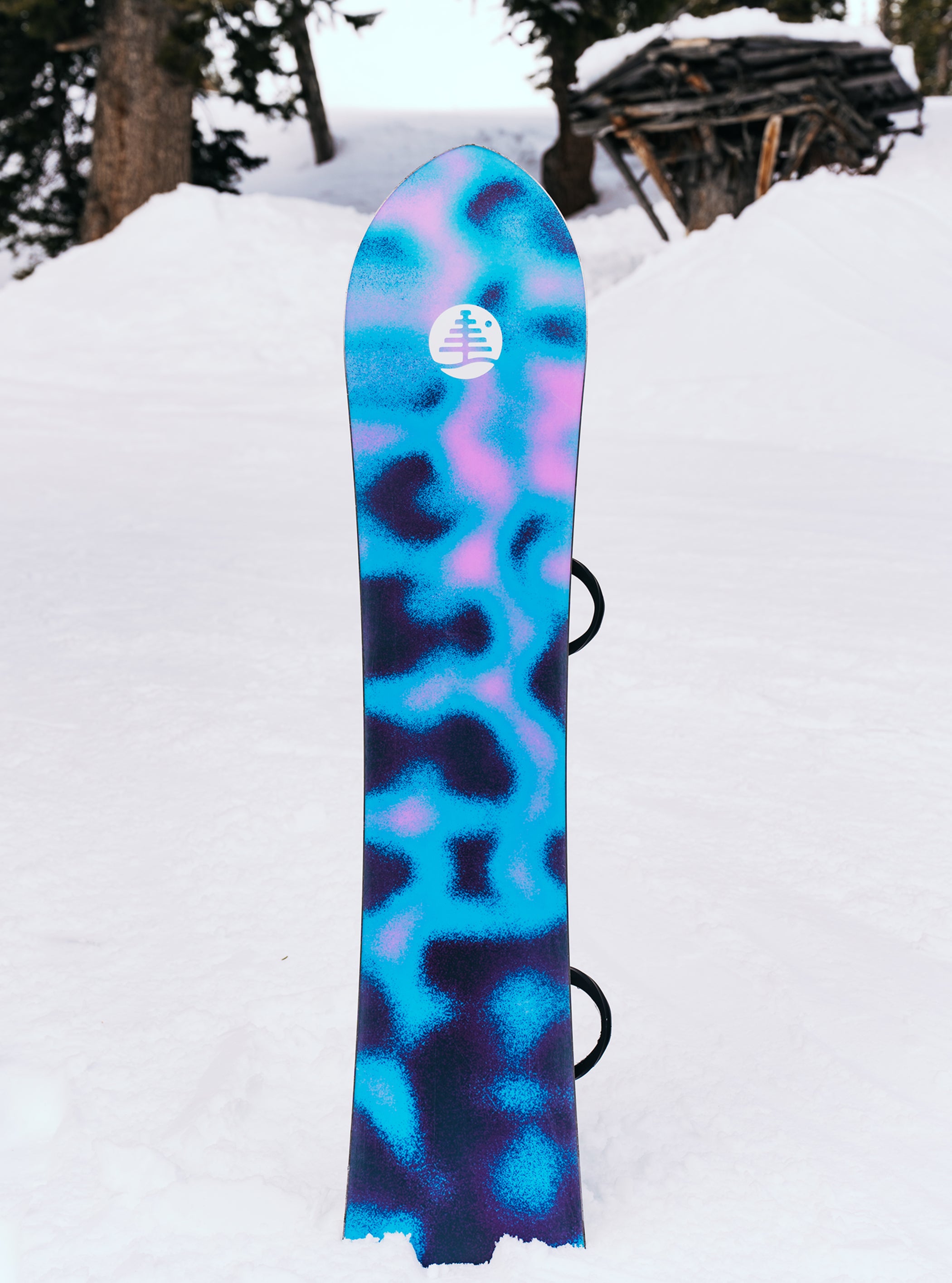 【サンプル】Burton ファミリーツリー スケッチアーティスト キャンバー スノーボード