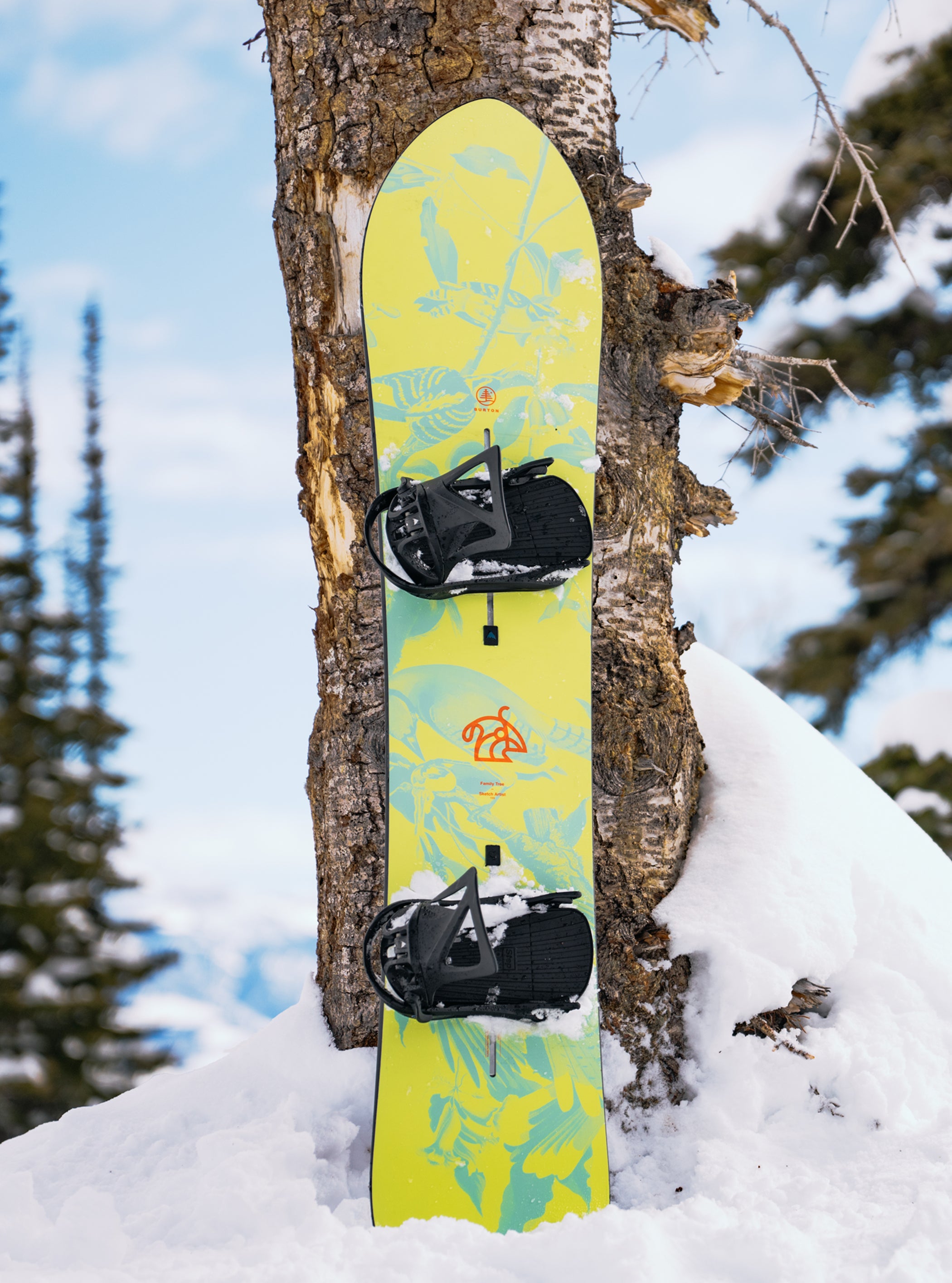 Burton ファミリーツリー スケッチアーティスト キャンバー スノーボード