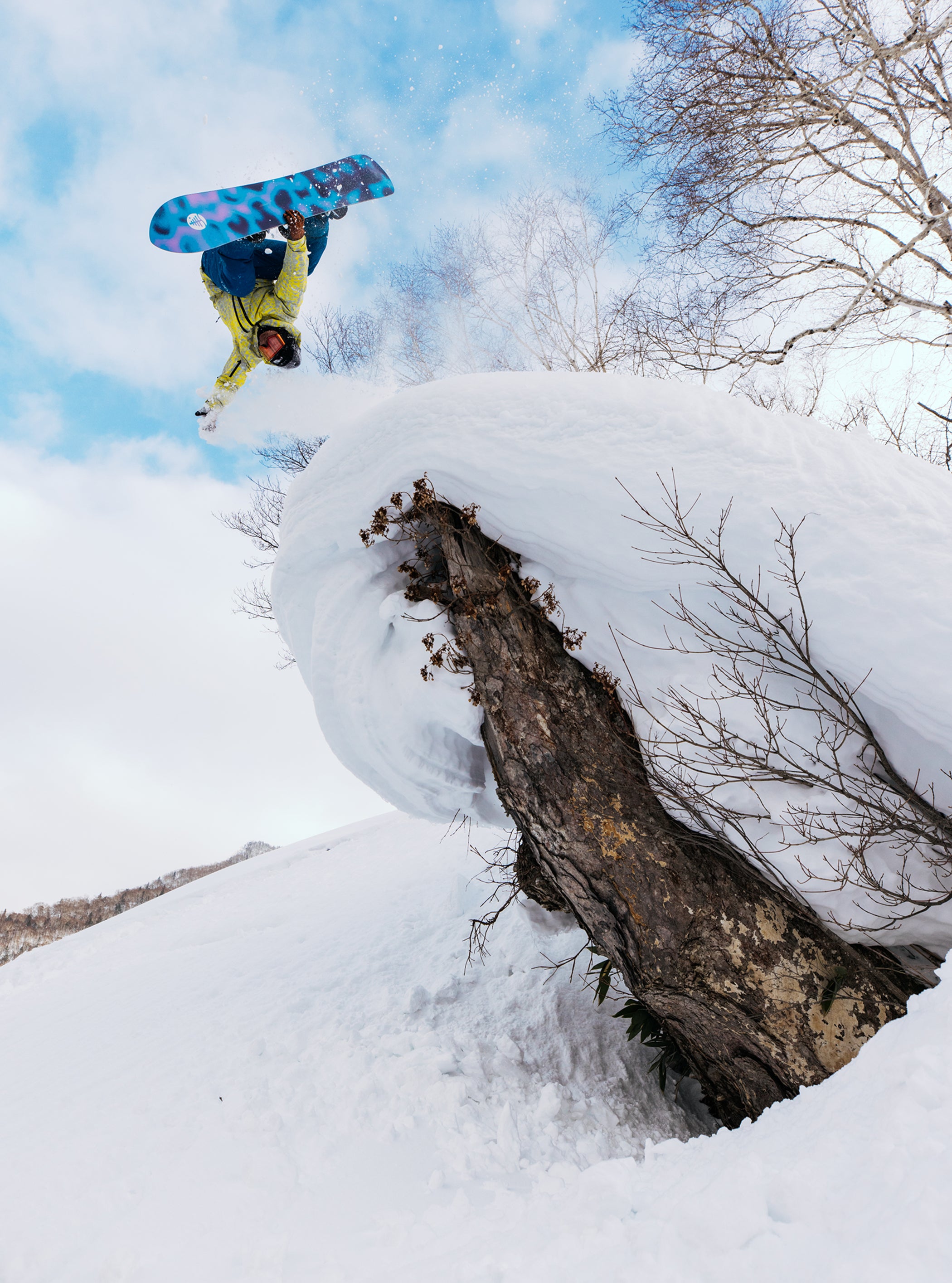 Burton ファミリーツリー スケッチアーティスト キャンバー スノーボード