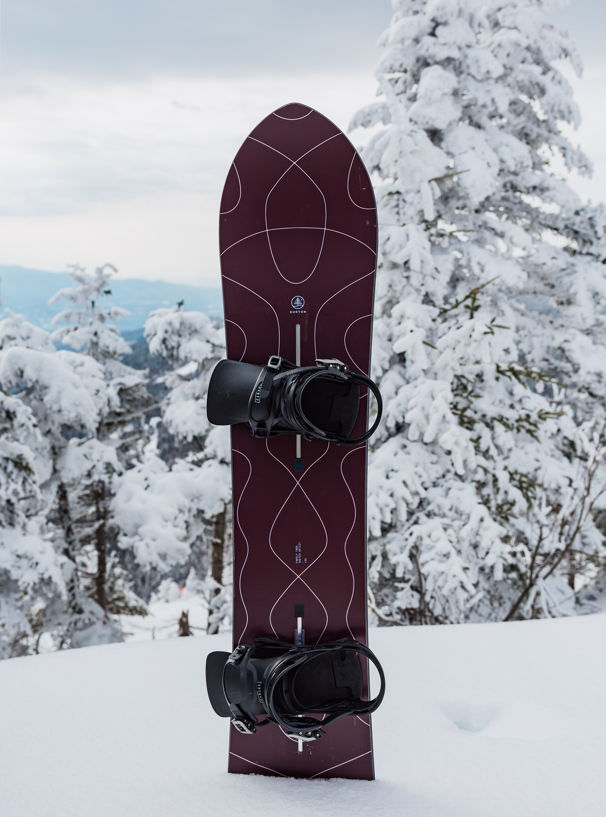Burton ファミリーツリー スケッチアーティスト キャンバー