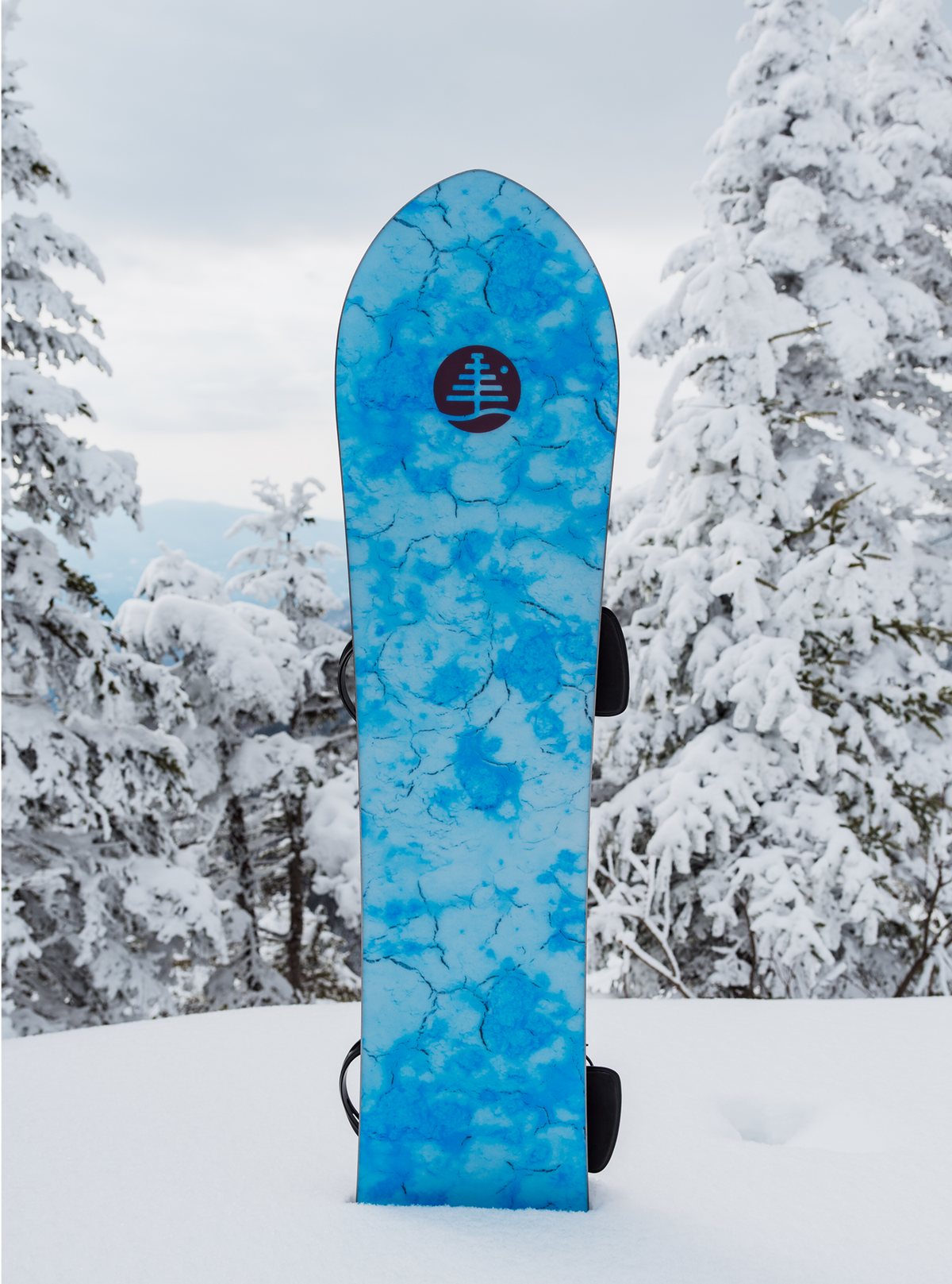 Burton ファミリーツリー スケッチアーティスト キャンバー スノーボード
