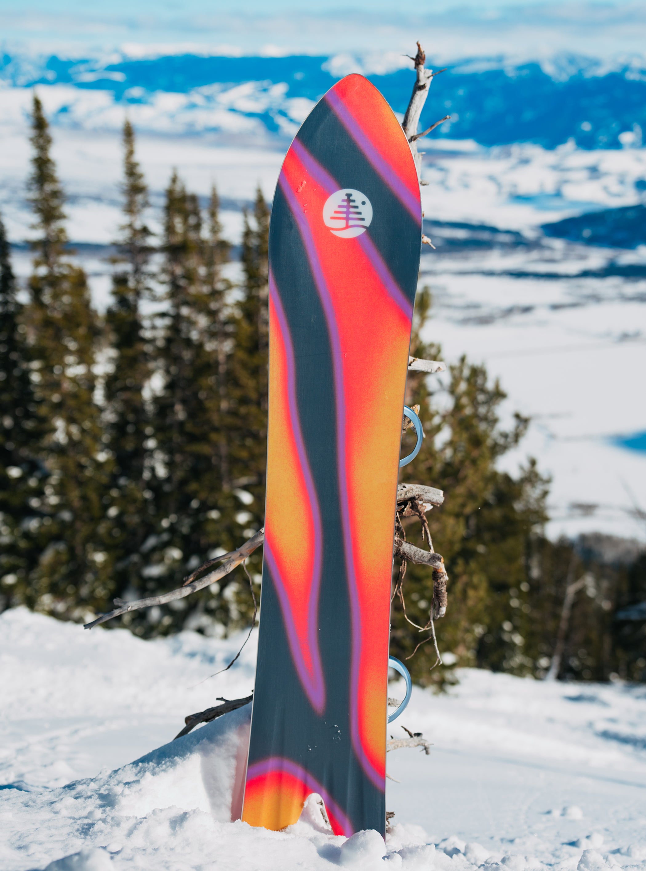 【サンプル】Burton ファミリーツリー スムースオペレーター キャンバー スノーボード