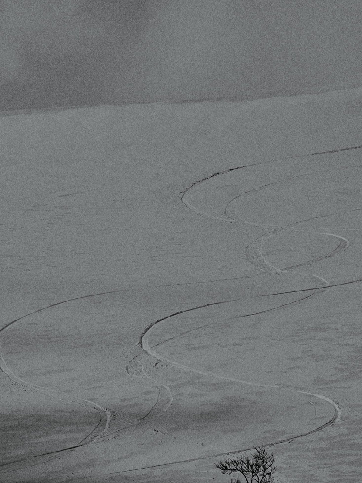 A monochrome landscape photograph showing a snow-covered field with winding tire tracks and a small tree near the bottom right corner.