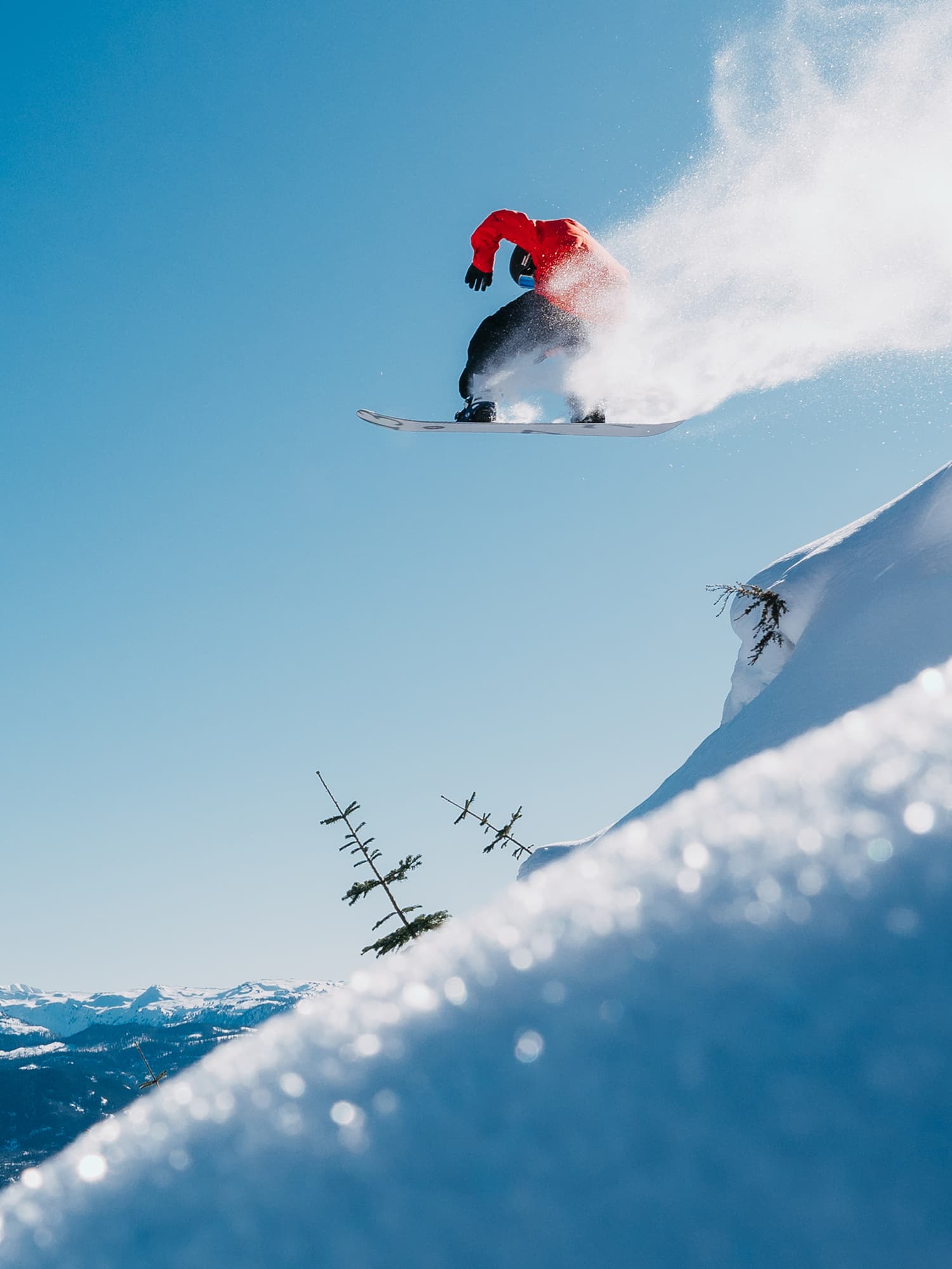 スノーボード | Burton Snowboards