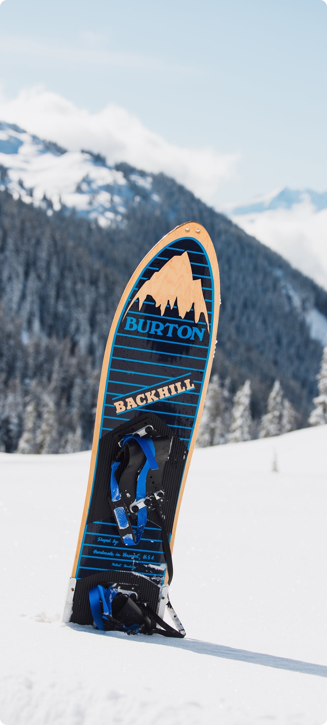 A Burton Backhill snowboard standing upright in deep snow, with a snowy mountain and pine forest in the background.